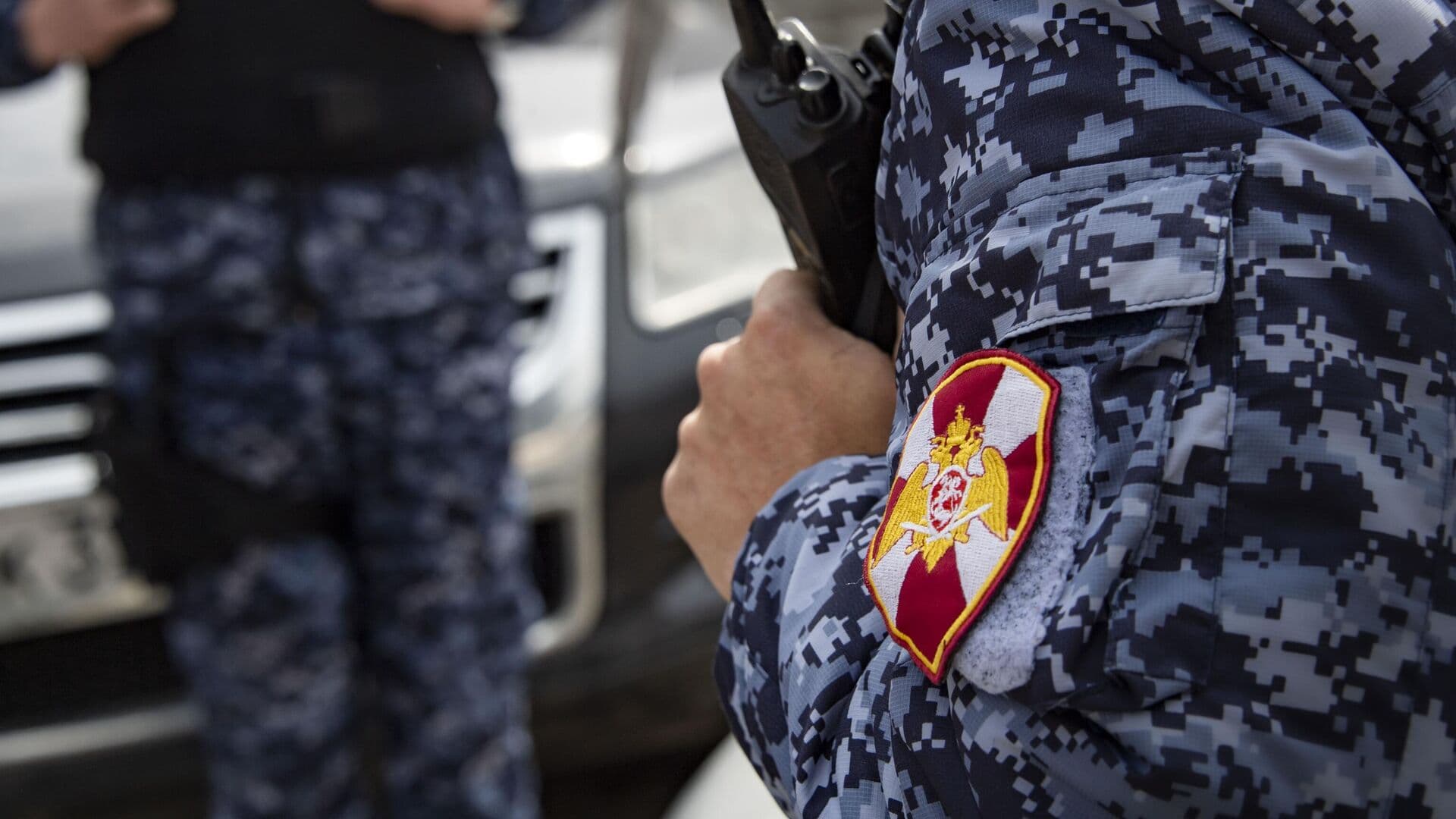 В Подмосковье росгвардейцы спасли из канавы замерзавших котят