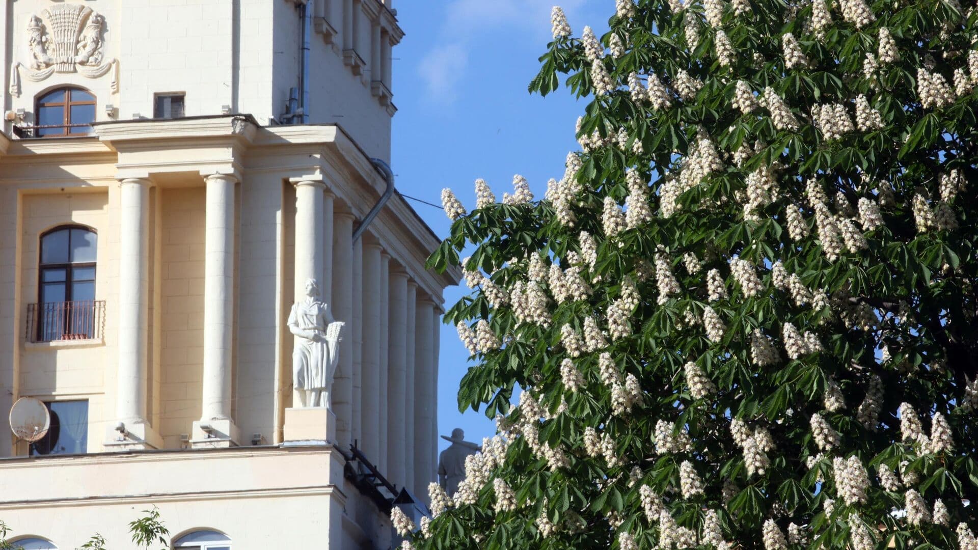 Синоптик рассказал о погоде в Москве на майские праздники