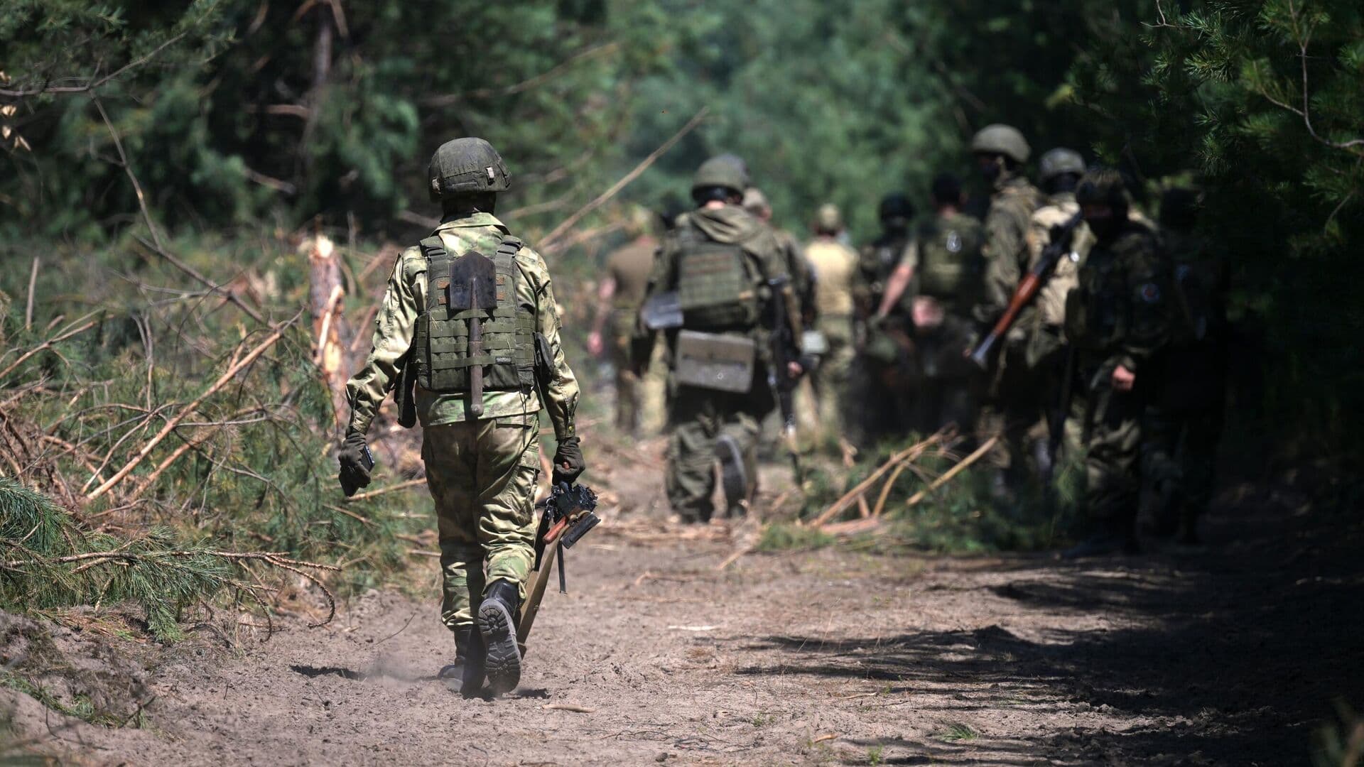 Пес Дизель ценой жизни спас четверых бойцов от украинского дрона