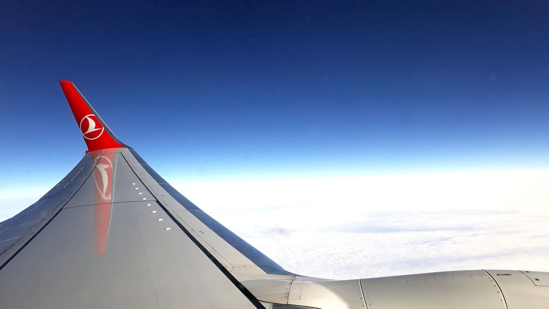 Самолет Turkish Airlines экстренно сел в Минске из-за дебошира