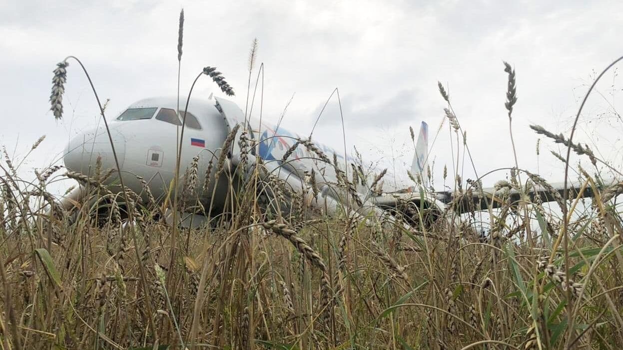 Пассажиры поблагодарили пилота, посадившего Airbus в поле под Новосибирском