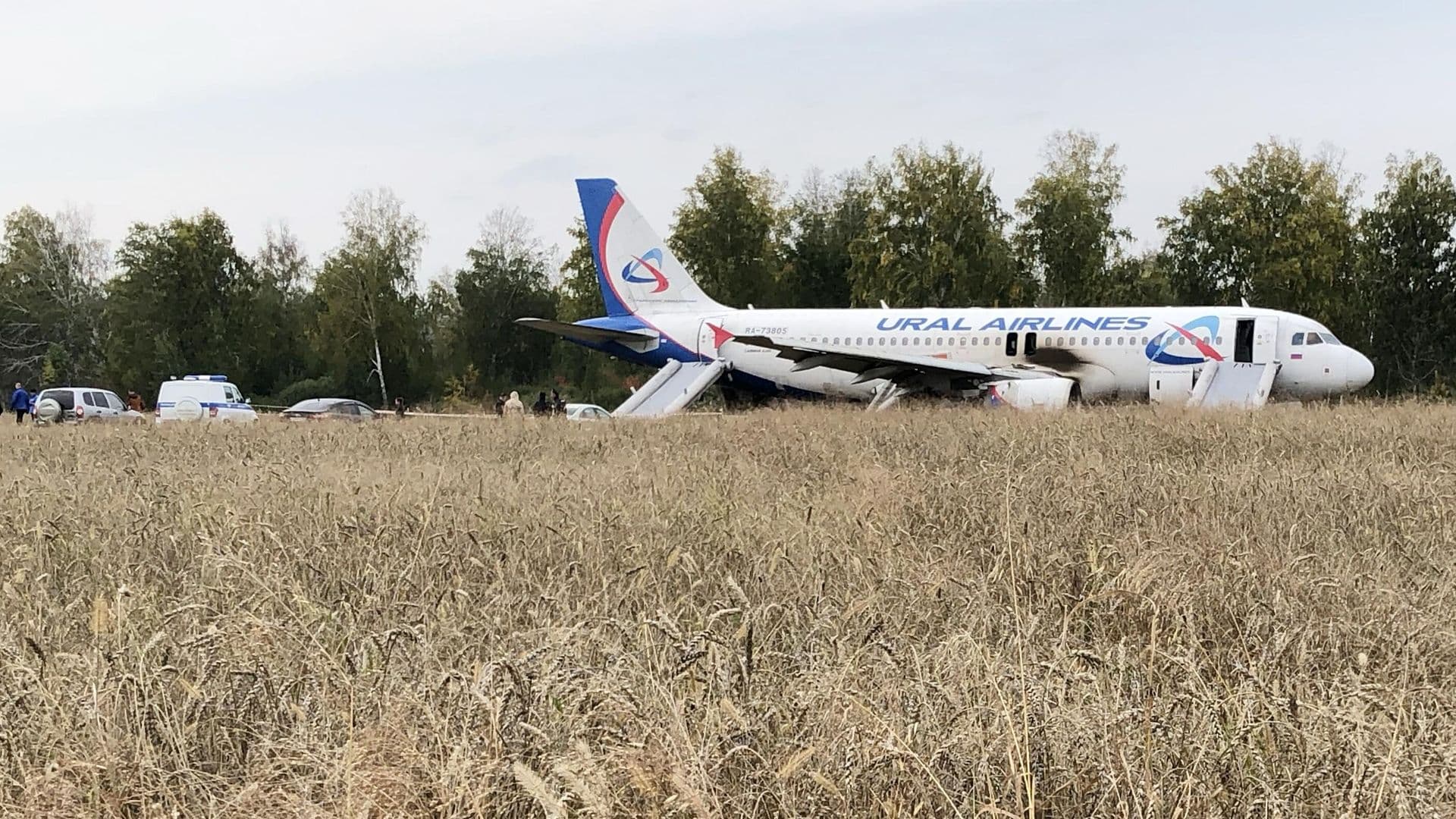 Посадивший самолет в пшеничном поле пилот поблагодарил всех за поддержку