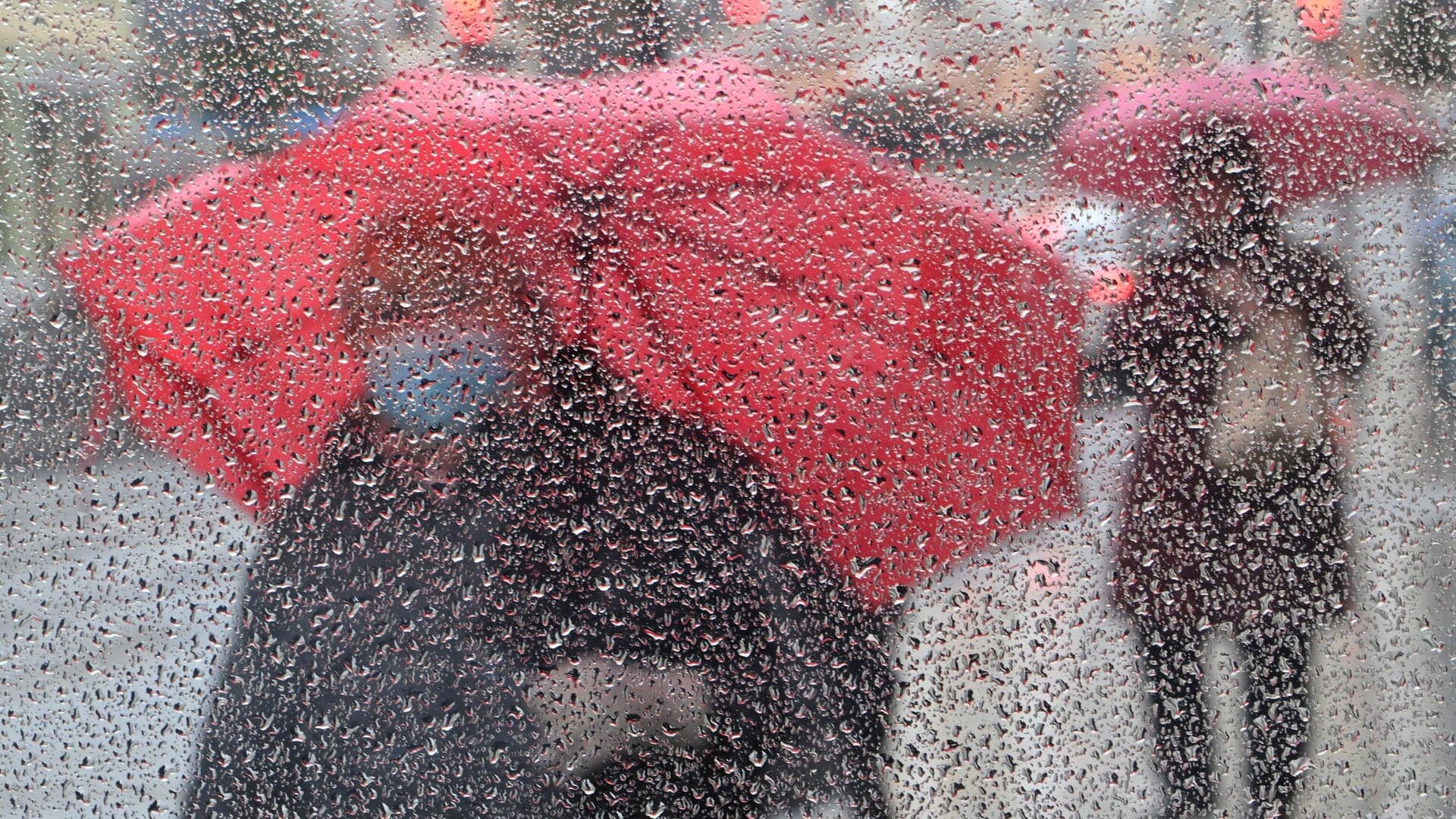 Синоптик рассказала, каких осадков ждать в апреле