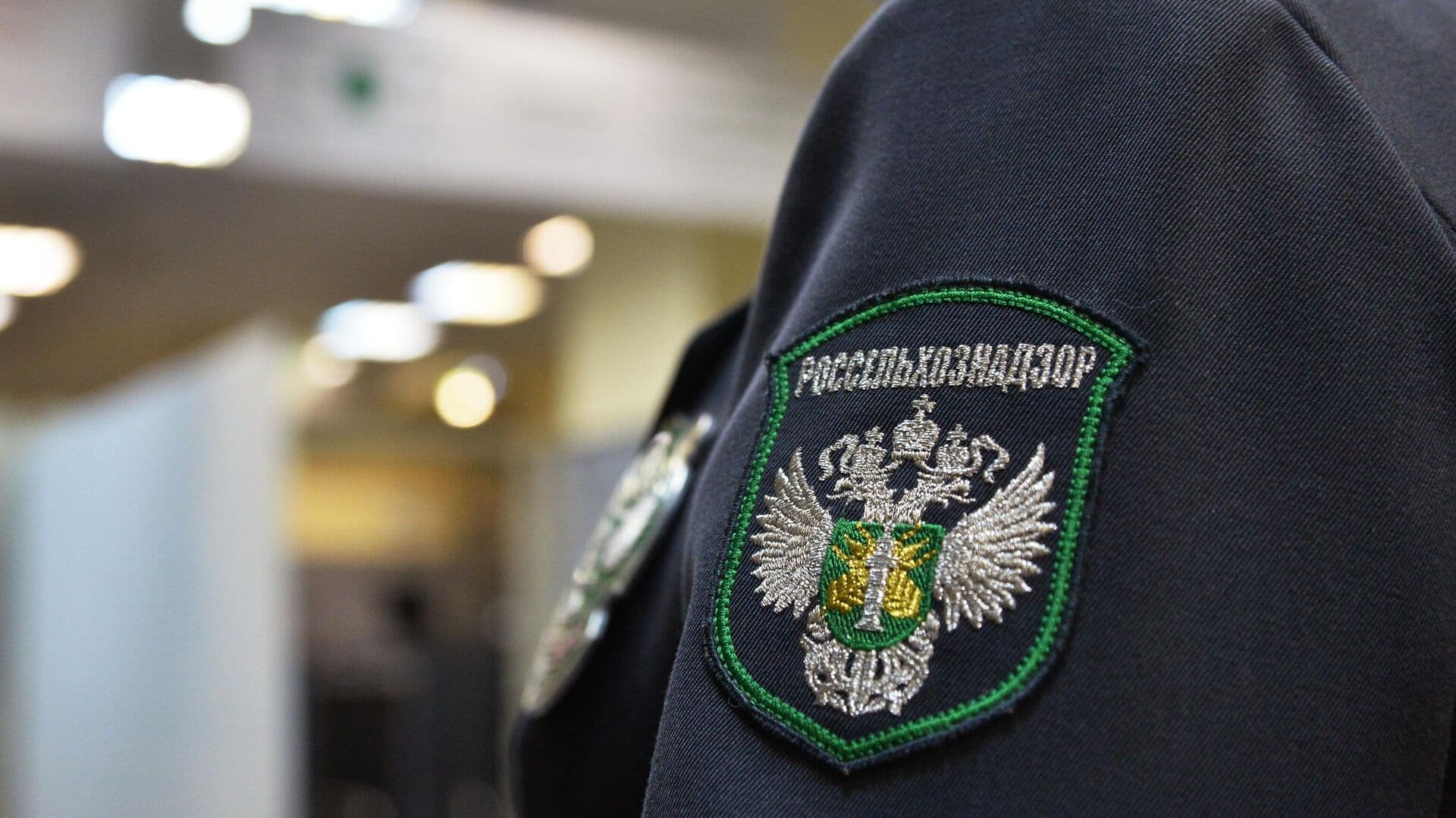 В твороге двух белорусских производителей обнаружили токсическое вещество