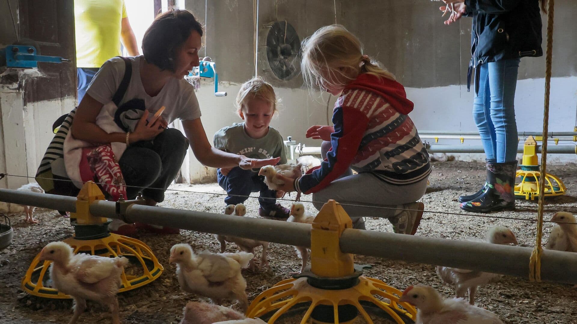 В Госдуме рассказали об изменениях в строительстве на сельхозземлях