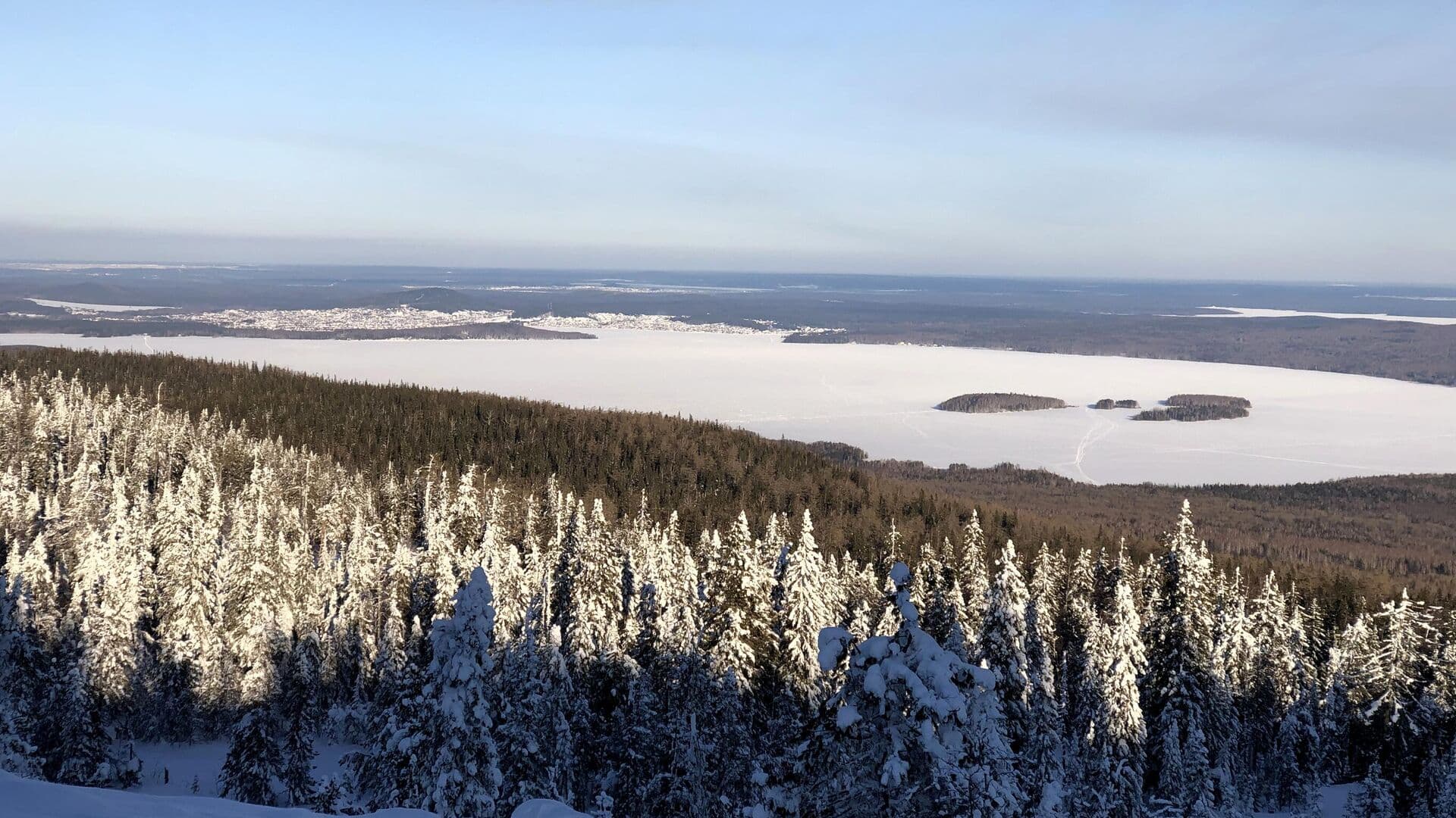 На Урале школу оштрафовали за нападение ученика на одноклассницу