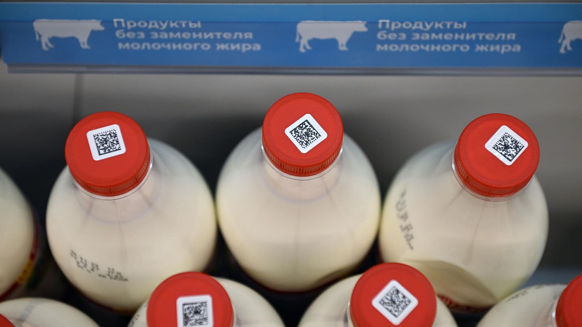 Эксперт развенчал самые популярные мифы о молочной продукции