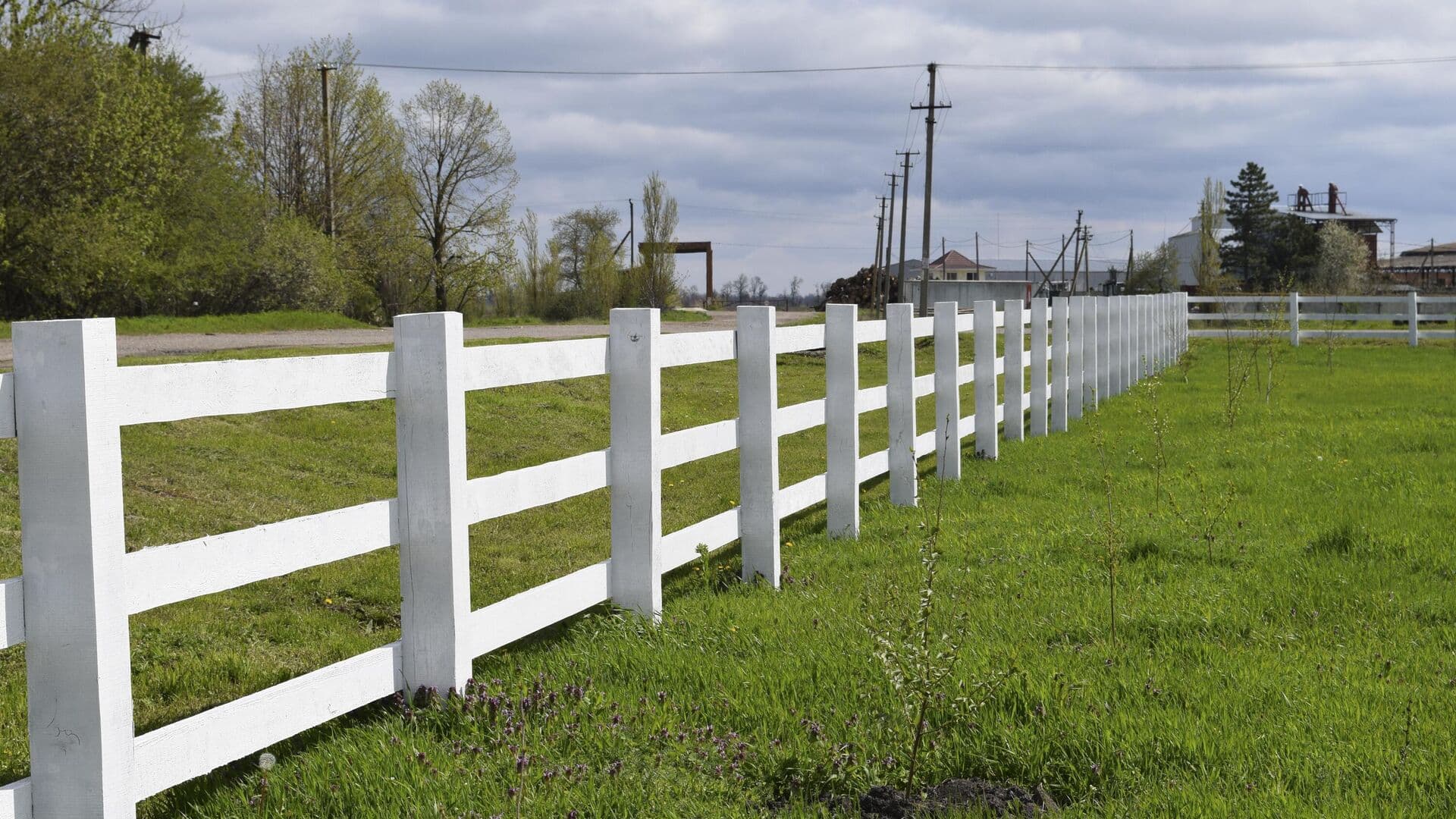Эксперт назвала благоприятный сезон для выбора загородного участка
