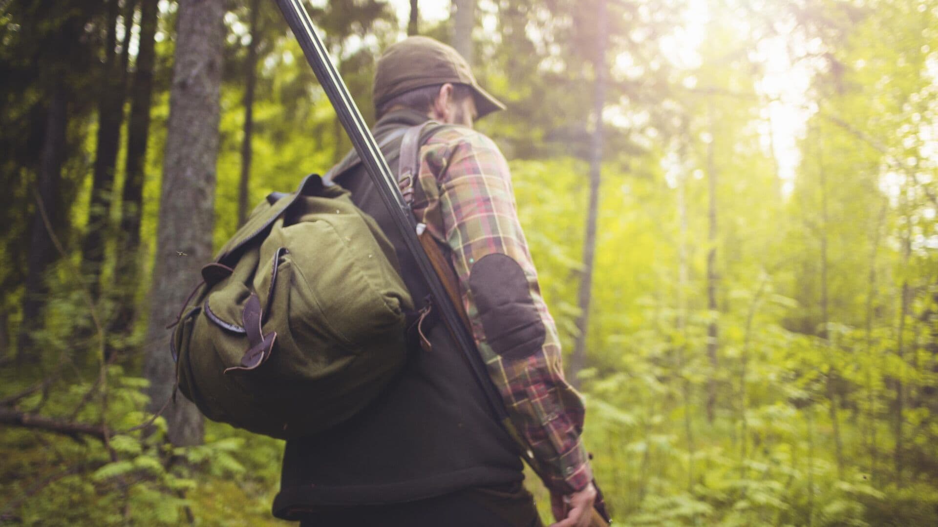 Минприроды рассказало, кто дает разрешение на добычу краснокнижных животных