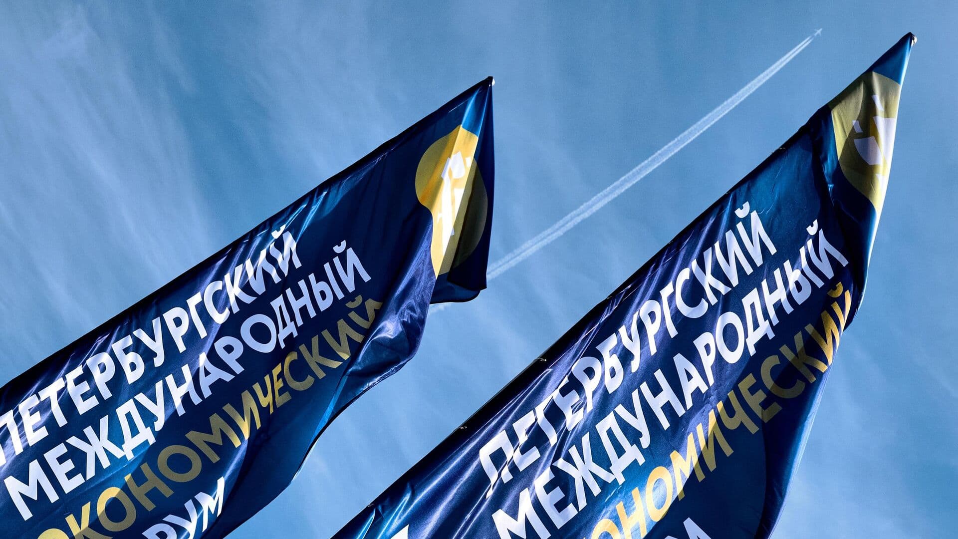 Путин поручил АСИ представить на ПМЭФ нацрейтинг инвестклимата регионов