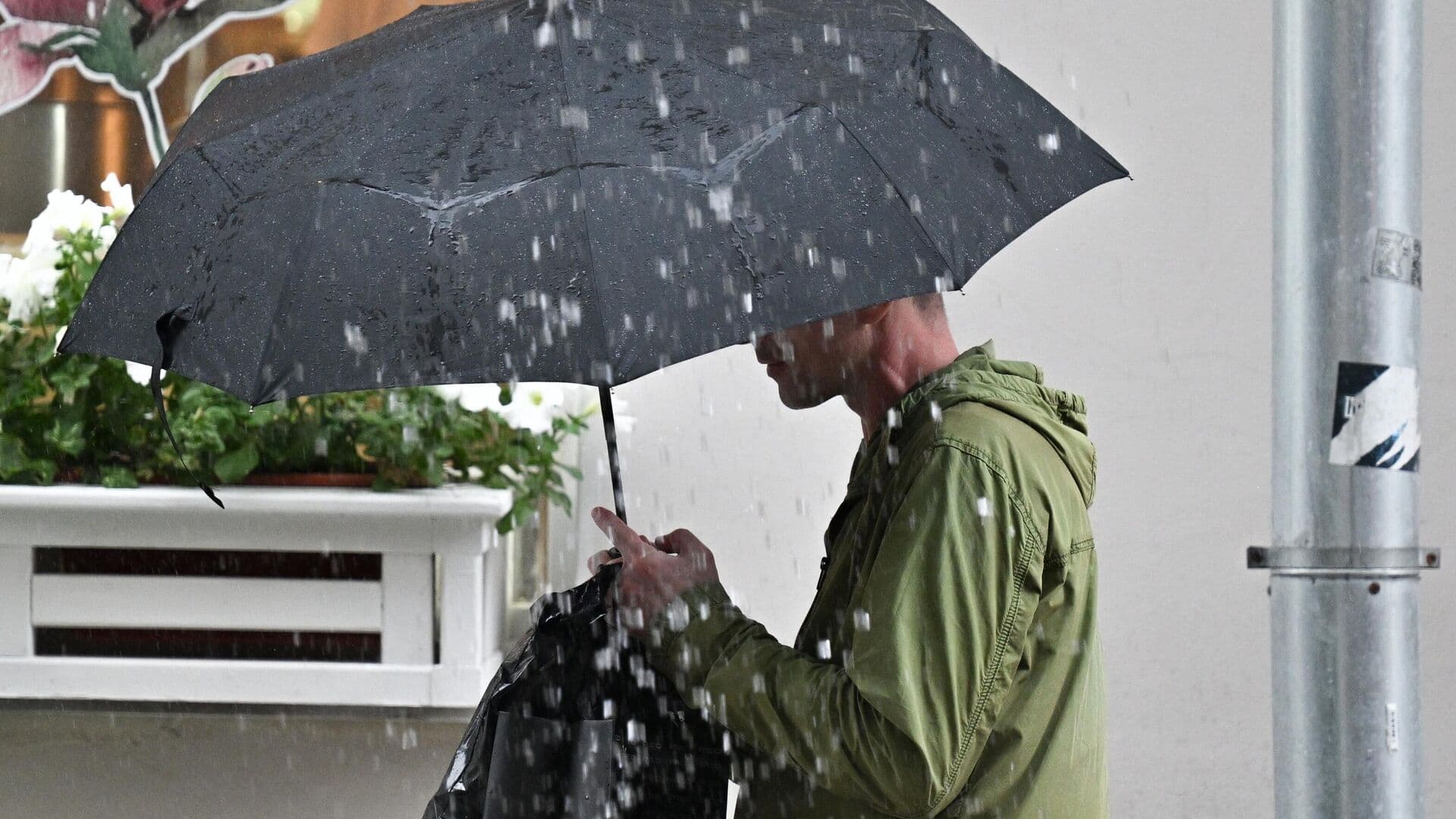 Москвичам рассказали о погоде во вторник