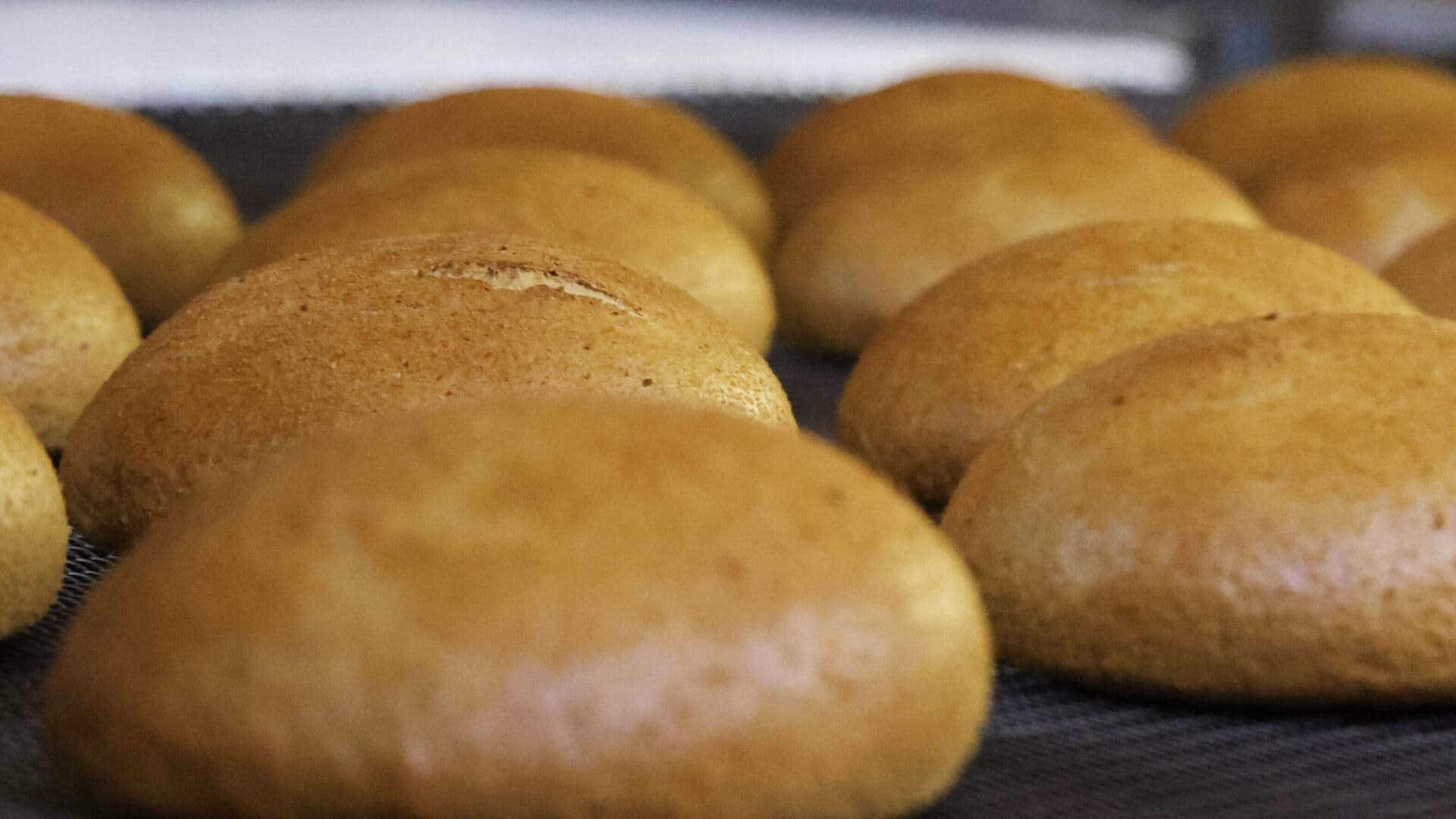 В России появились правила по сроку годности хлеба