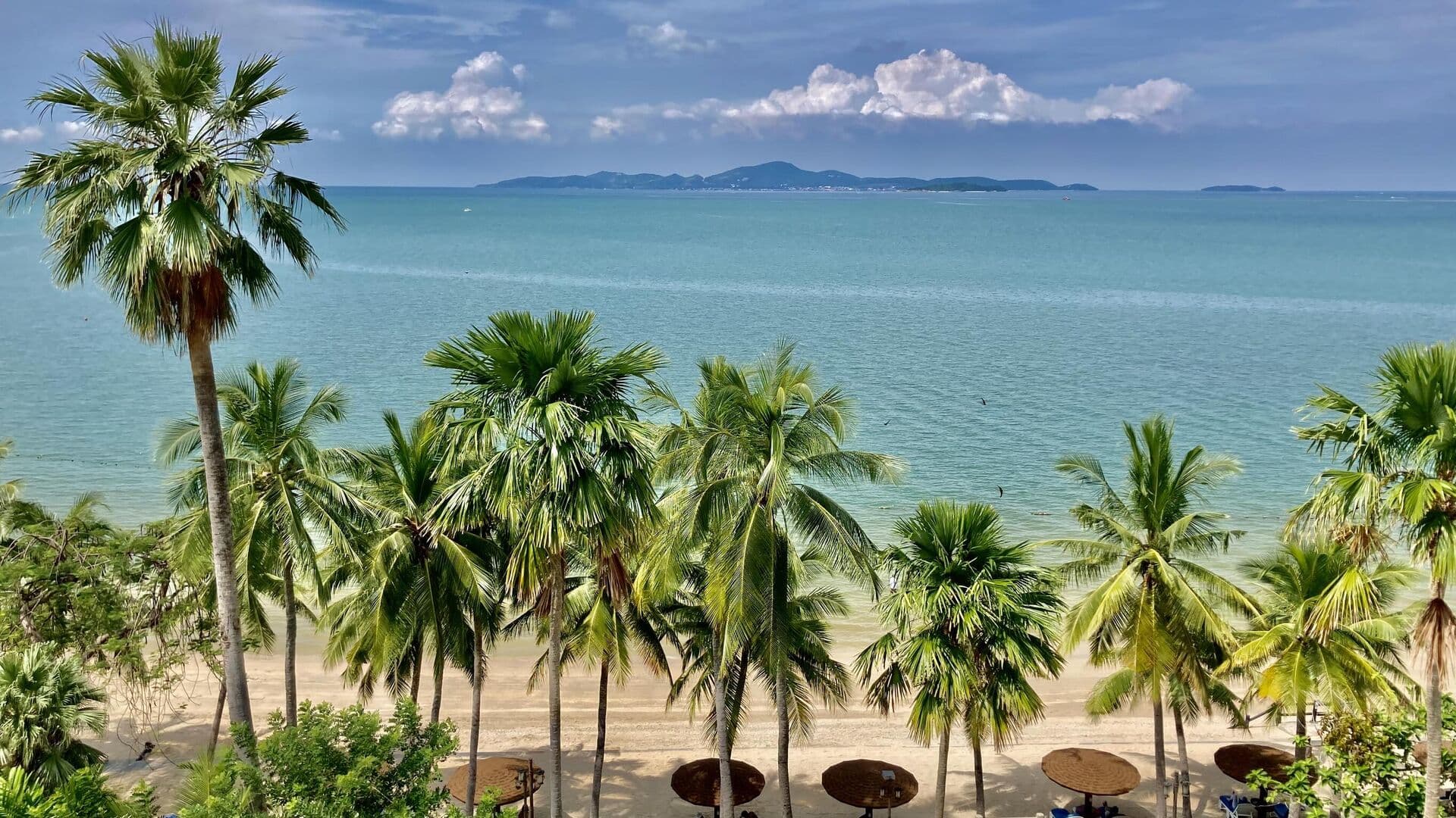 Роспотребнадзор запросил данные о заражениях вирусом Коксаки в Таиланде