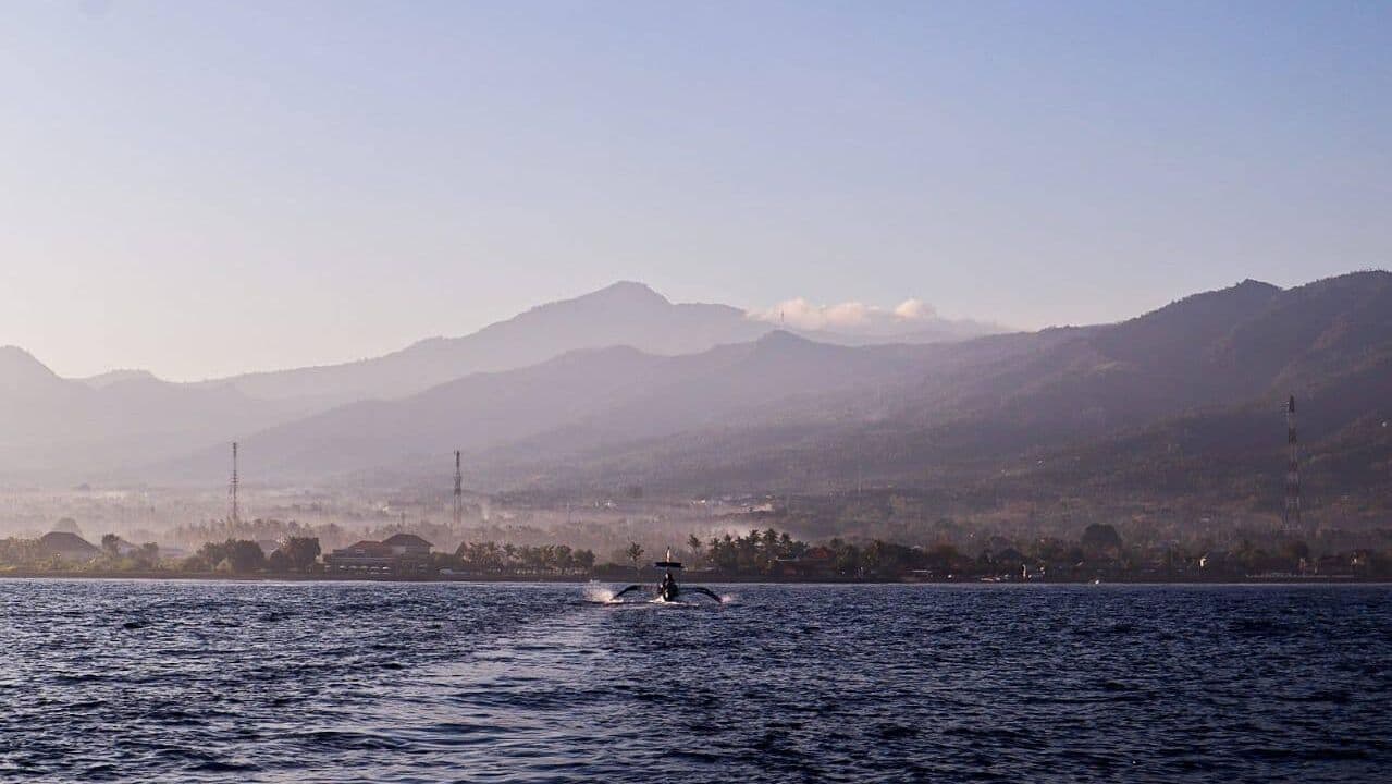 Россиянка подцепила вшей на Бали из-за шлема для скутера