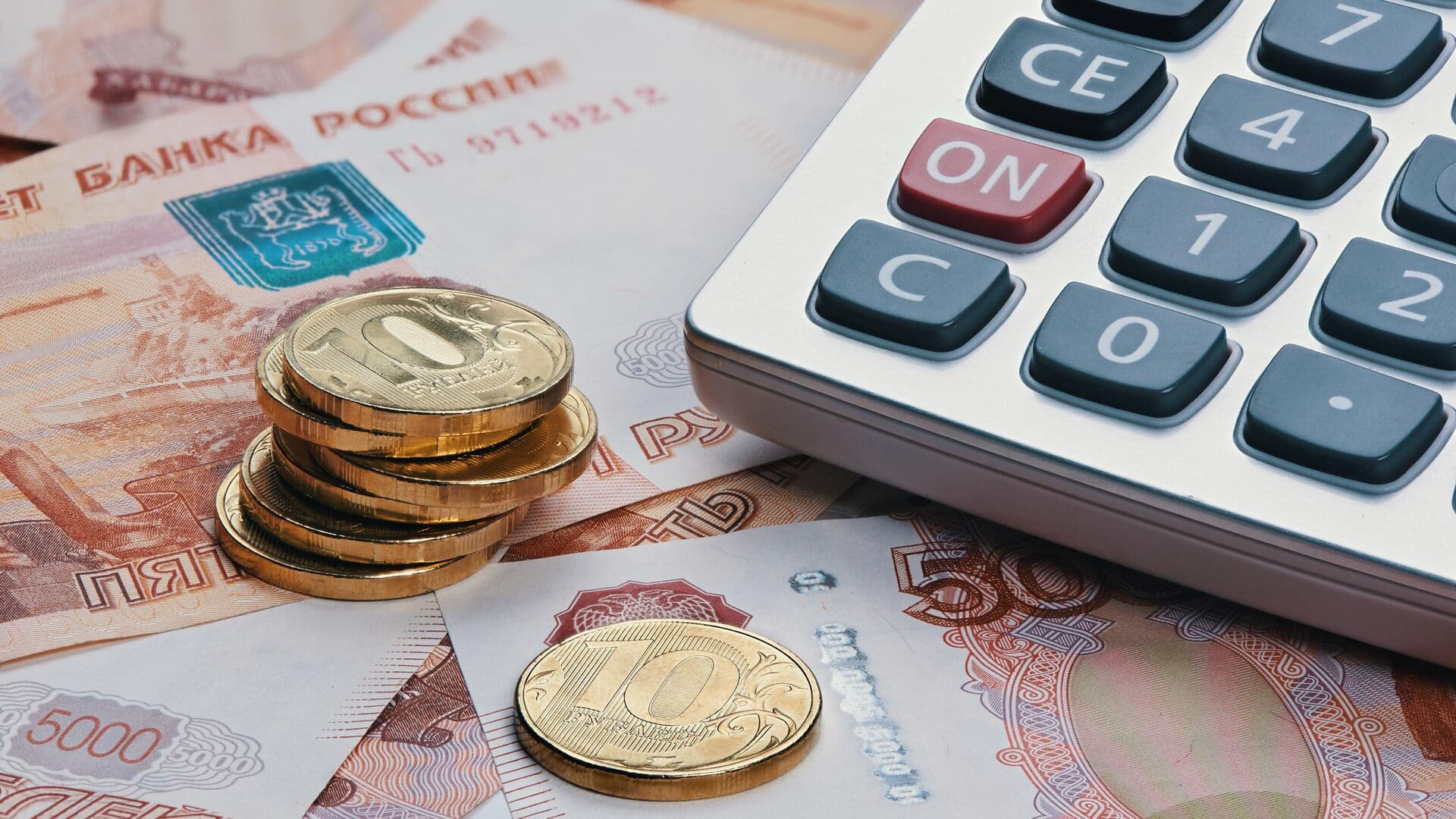 Стало известно, при каком доходе семьи в России будут получать пособие