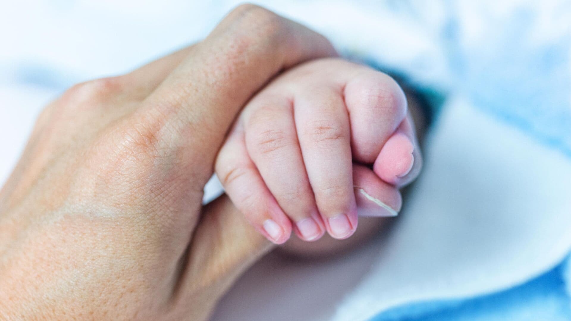 ЗАГС Москвы назвал самые популярные "цветочные" имена для девочек