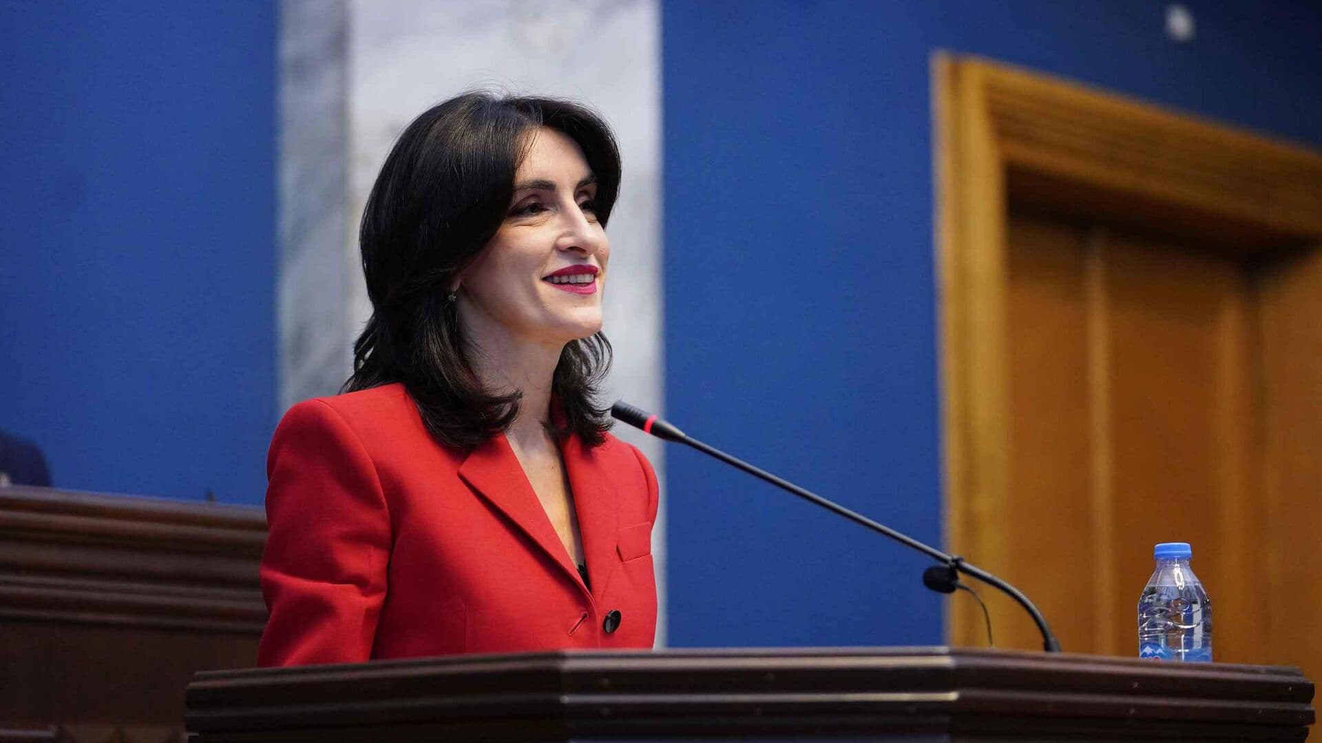 В МИД Грузии объяснили отказ от санкций против России