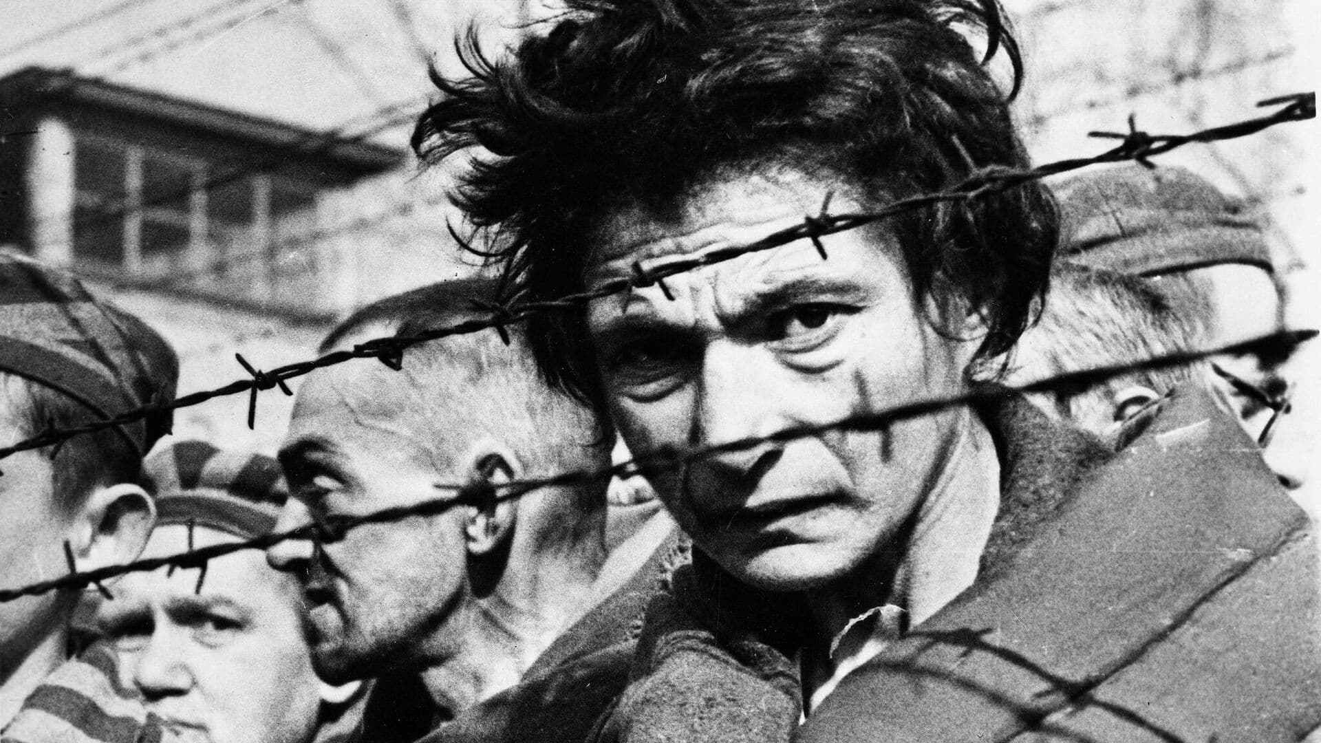 Немецкий политик призвала власти признать геноцид советского народа