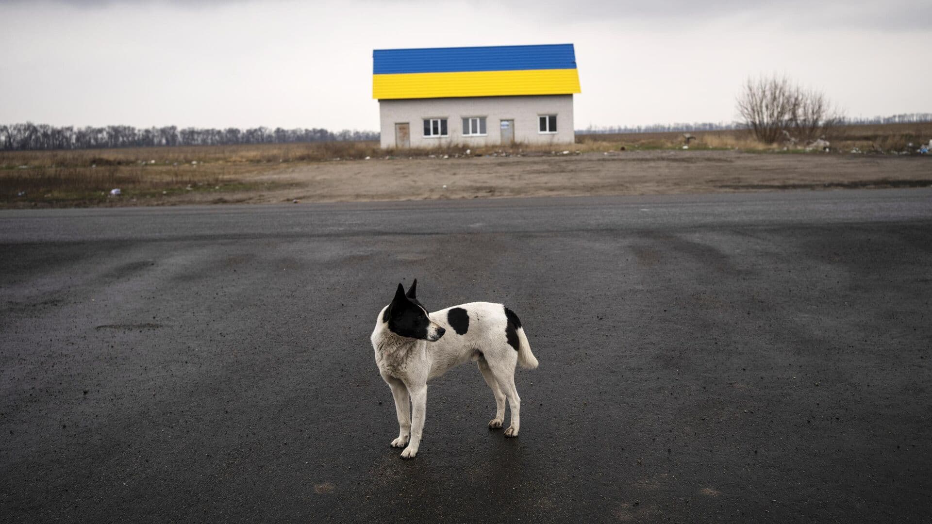 Жители Одессы снова перекрыли дорогу из-за отсутствия электроснабжения