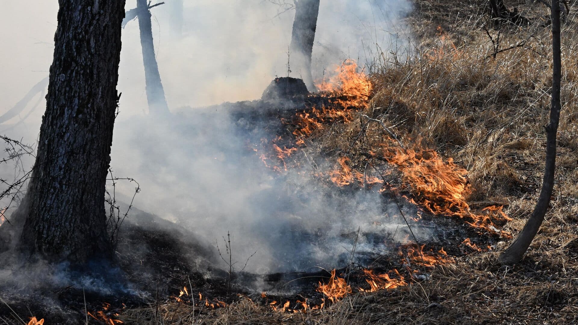В Еврейской автономной области отменили режим ЧС
