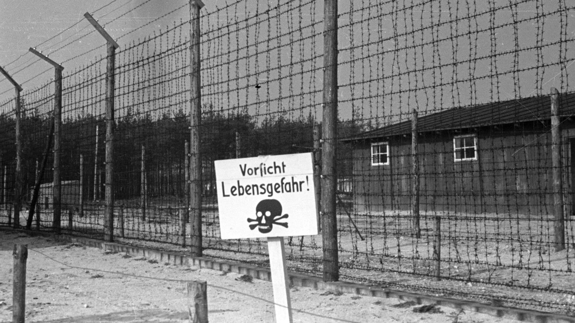 В РАН рассказали о трудностях в исследованиях о сопротивлении в концлагерях