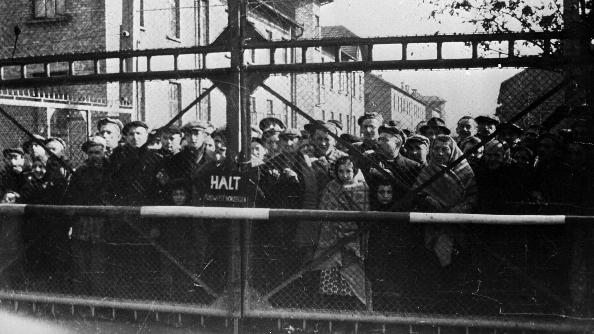 Ученый назвал первоочередную задачу в увековечении памяти жертв концлагерей