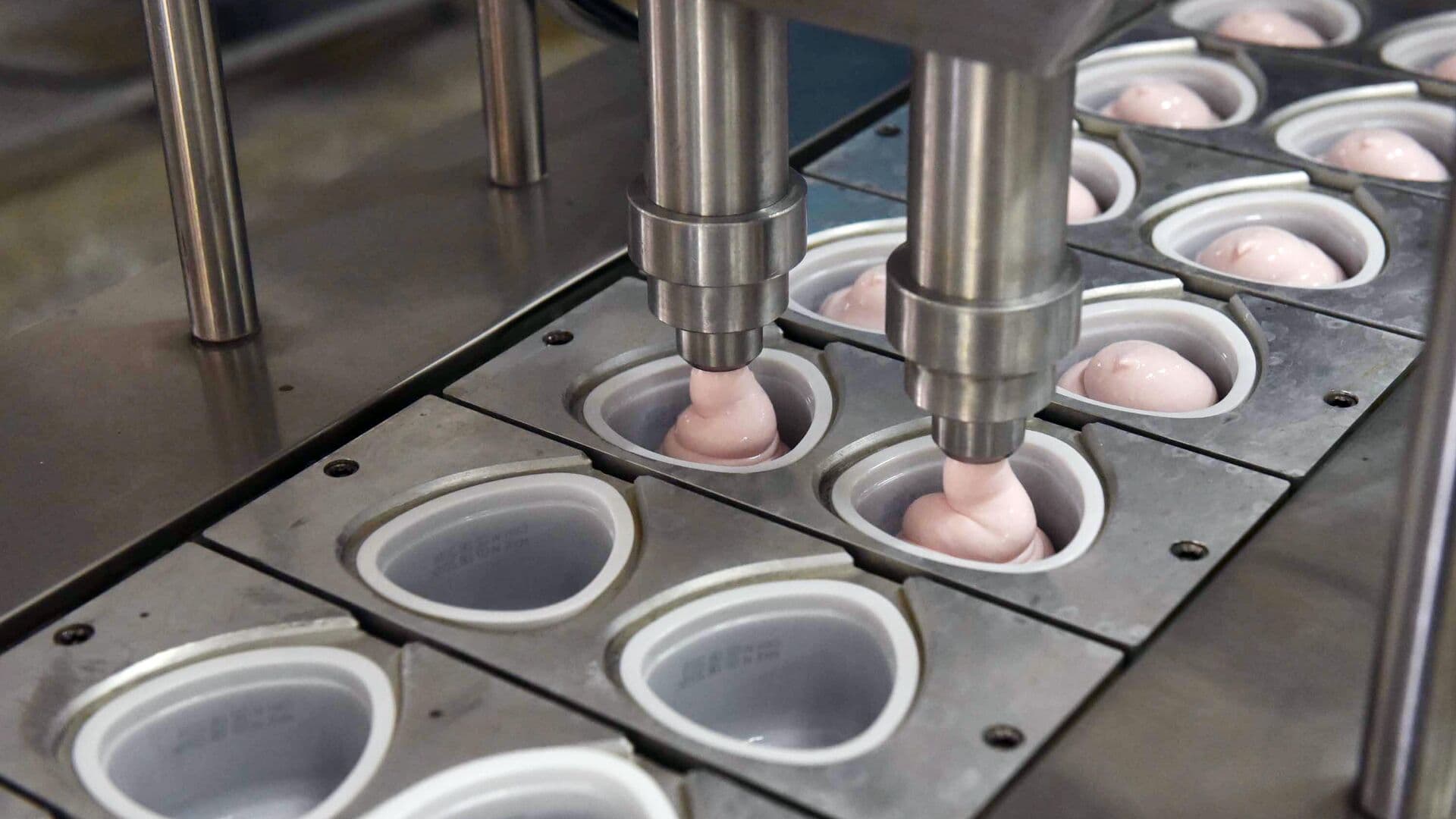 Frambini хочет зарегистрировать товарный знак в России для продажи йогуртов