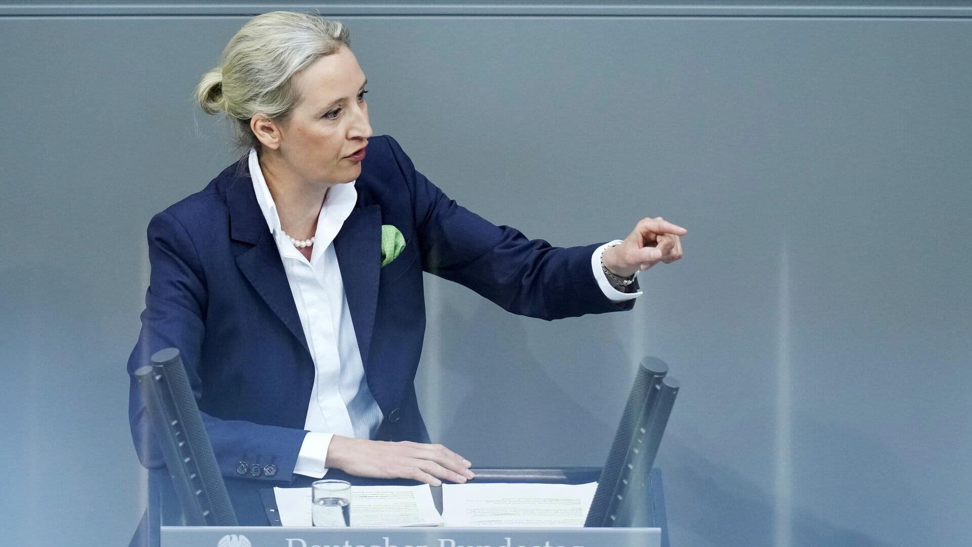 Вайдель осудила остановку Украиной транзита нефти в Венгрию