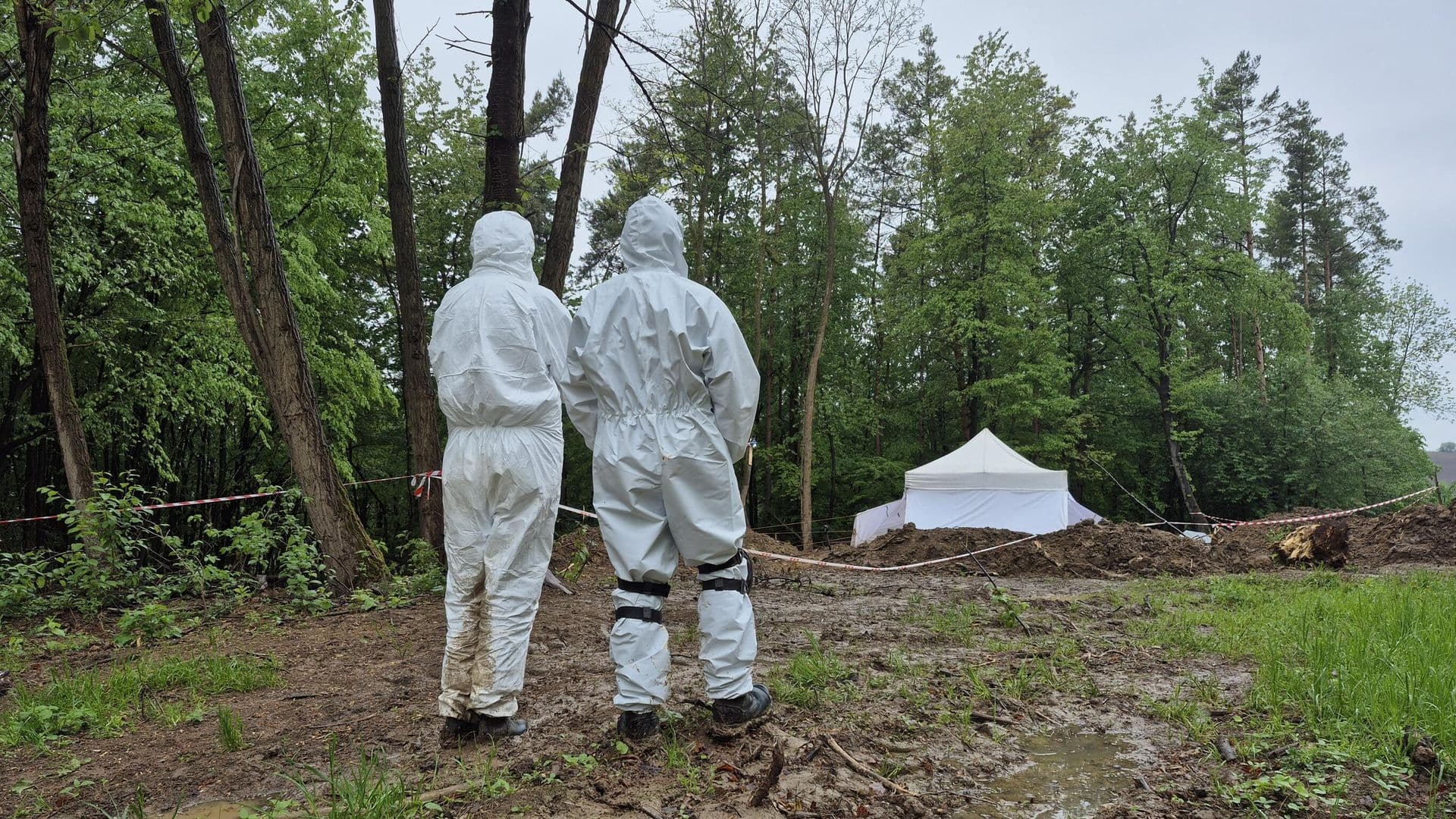 Польские поисковики нашли останки 243 жертв Волынской резни