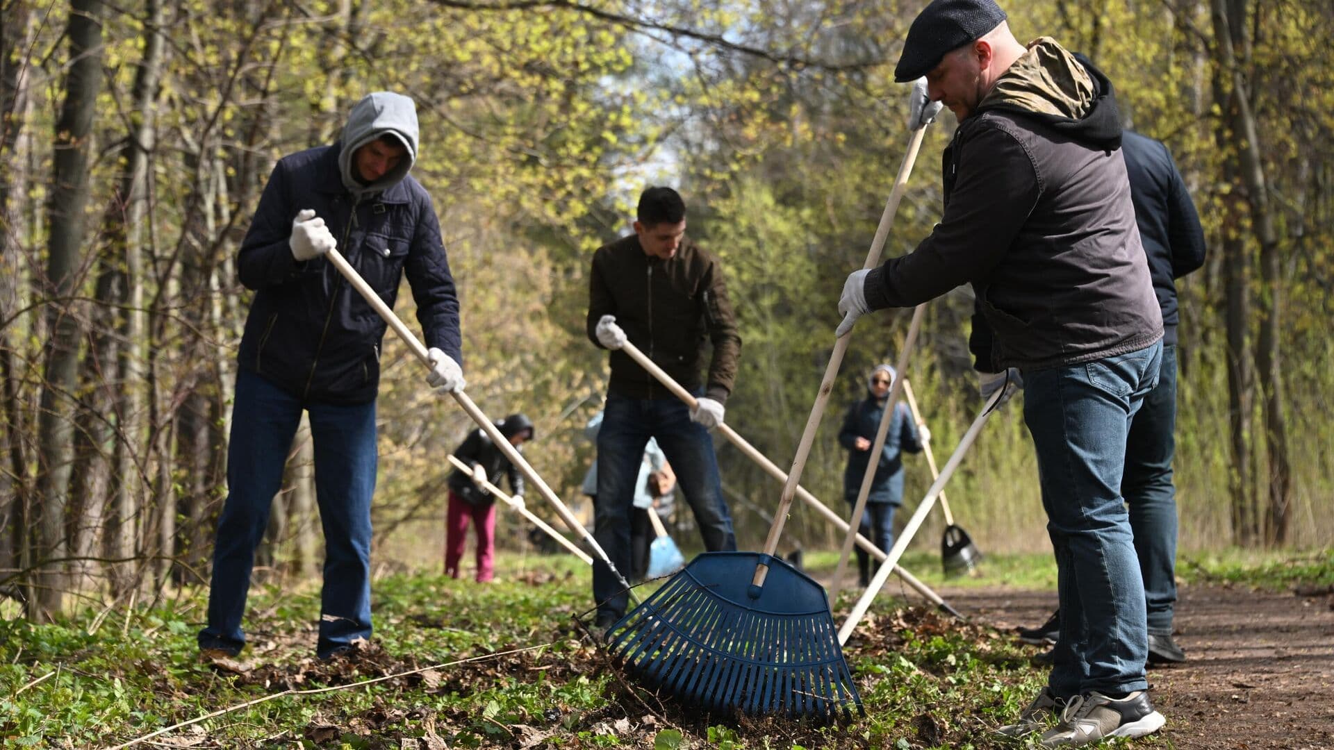 Опрос показал, сколько россиян избегает субботников на работе