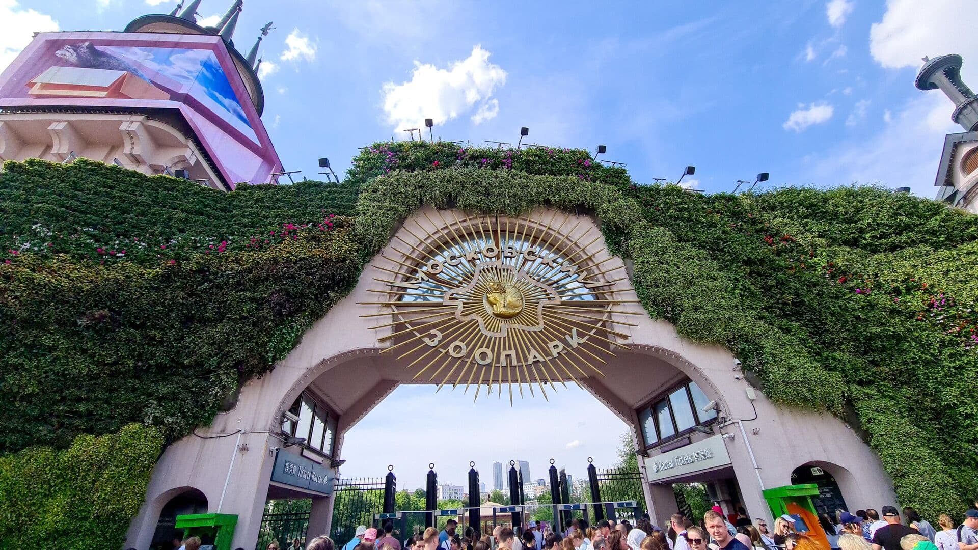 Директор Московского зоопарка рассказала о депрессии у барашка