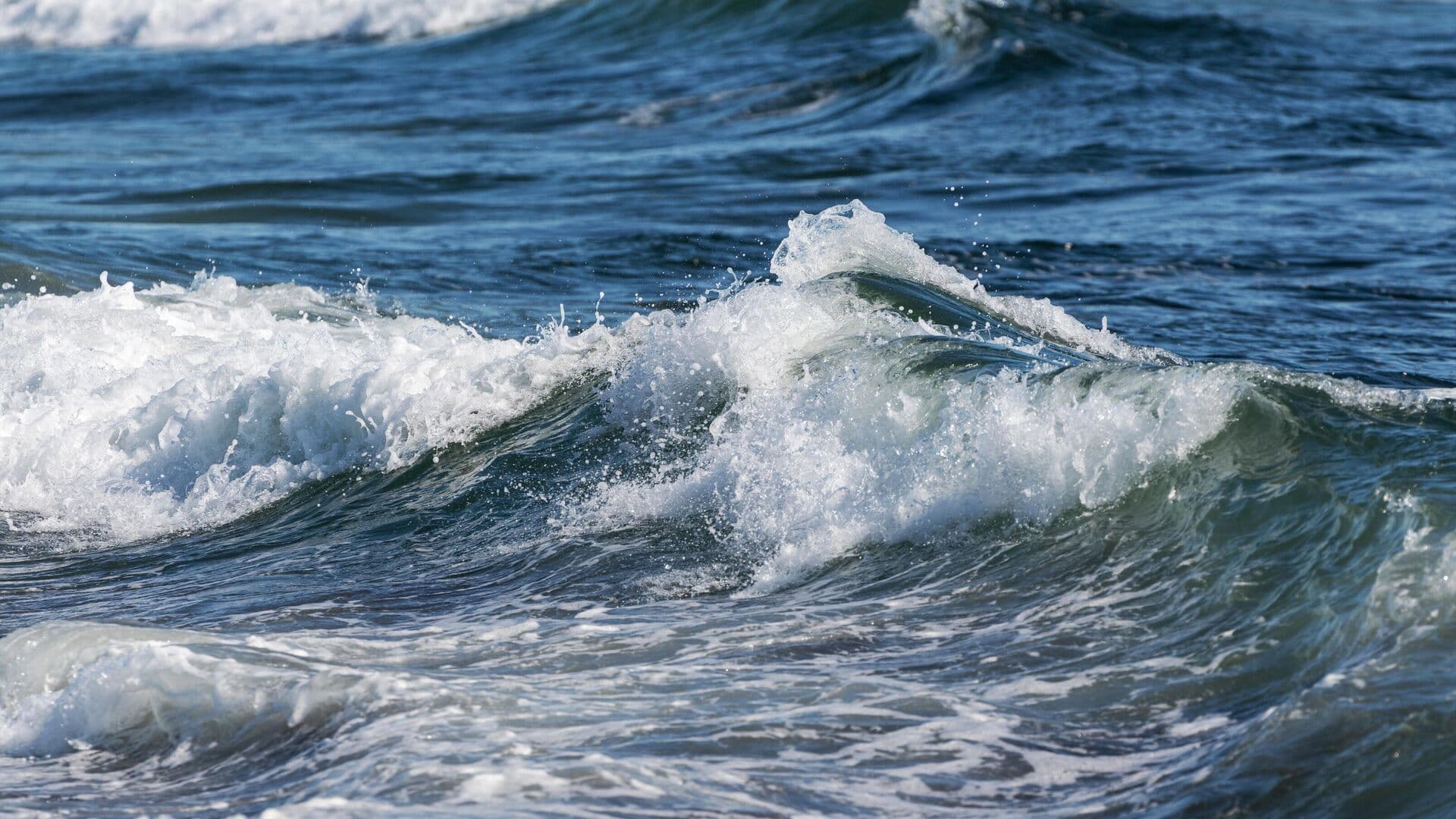 ВСУ минируют береговую линию Херсона