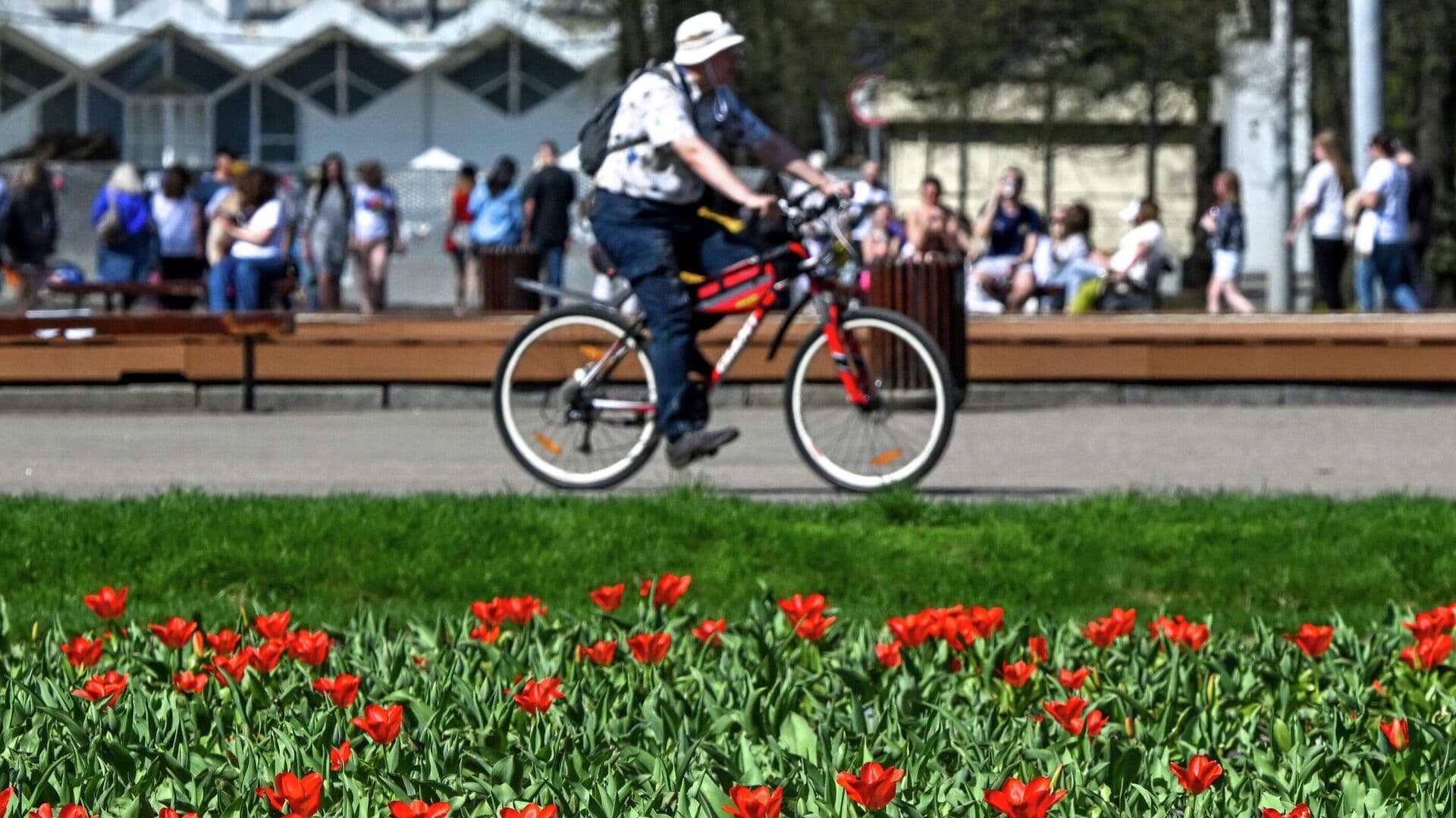 Синоптик рассказал, когда в Москве будет рекордное тепло