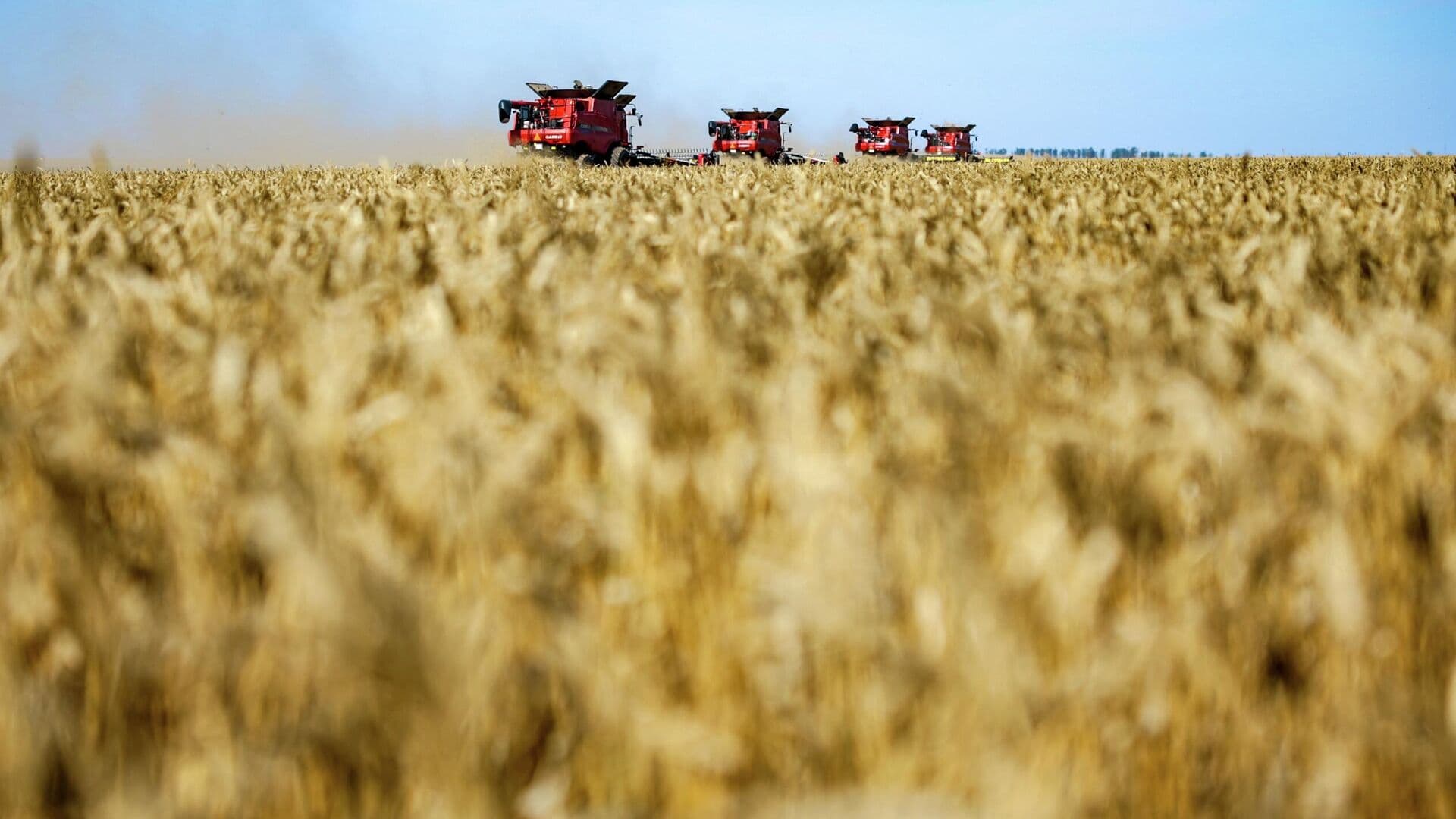 Путин назвал фермерское движение в России серьезной созидательной силой