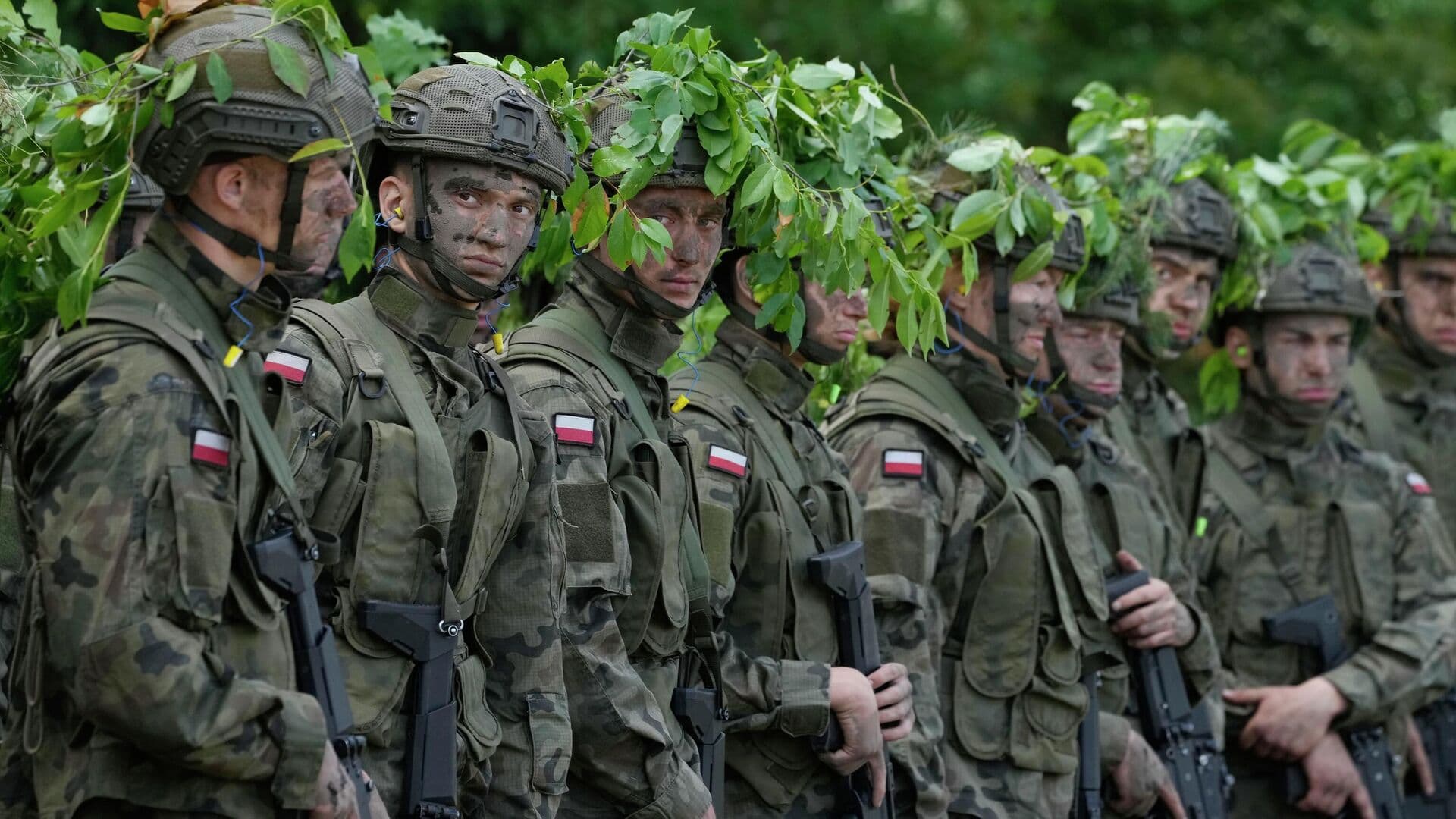 Эксперт назвал союзников США в Восточной Европе не очень ценным ресурсом