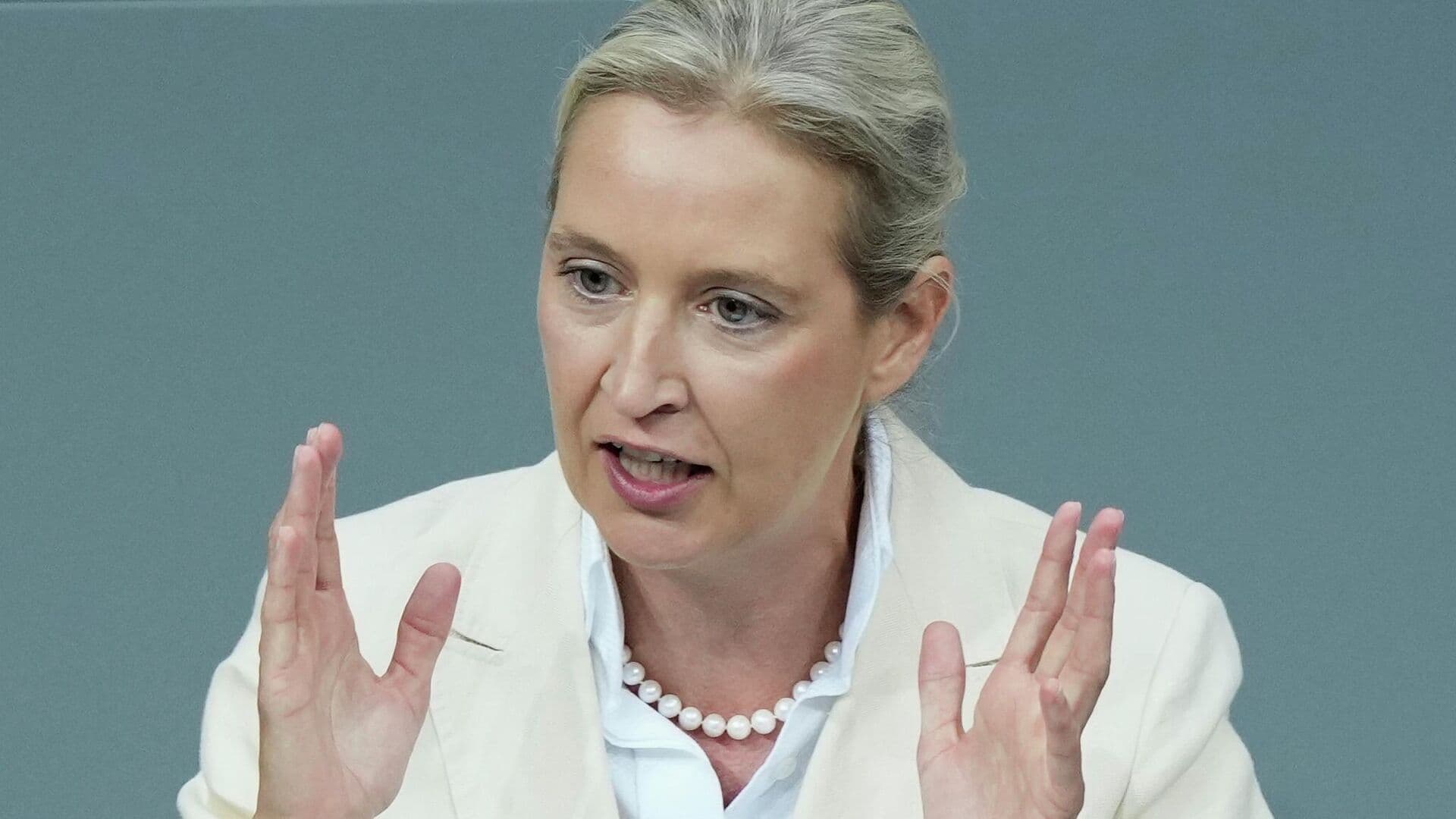 Германия оказалась в тупике из-за болванов у власти, заявила Вайдель