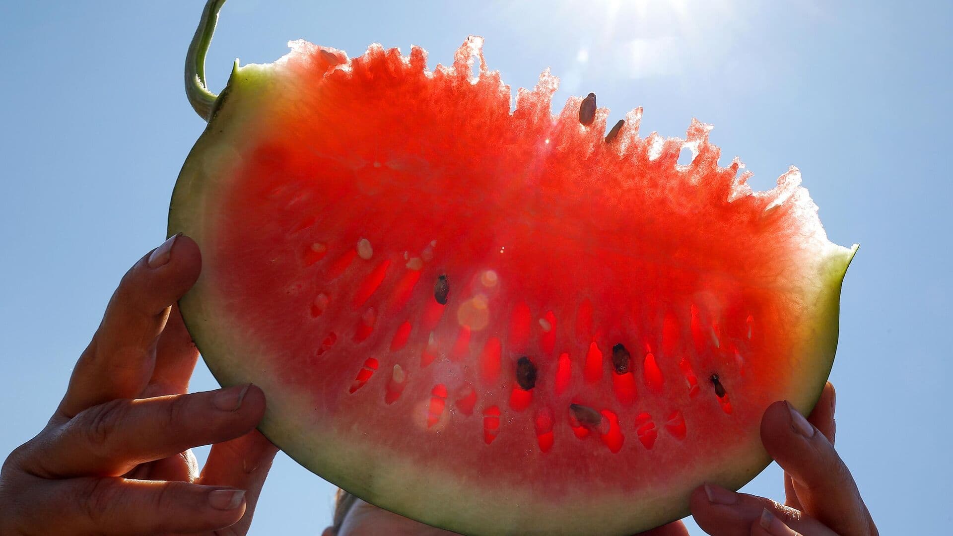 Агроном рассказал о шансе вырастить жарким летом на даче южные плоды