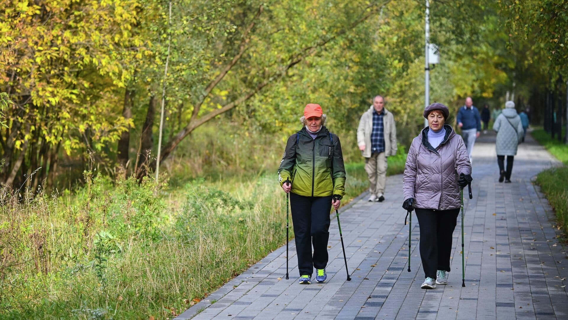 В Минздраве назвали семь главных принципов долголетия