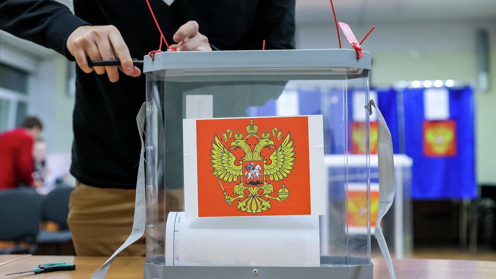 Более 1,6 миллиона россиян смогут впервые проголосовать в ЕДГ-2026
