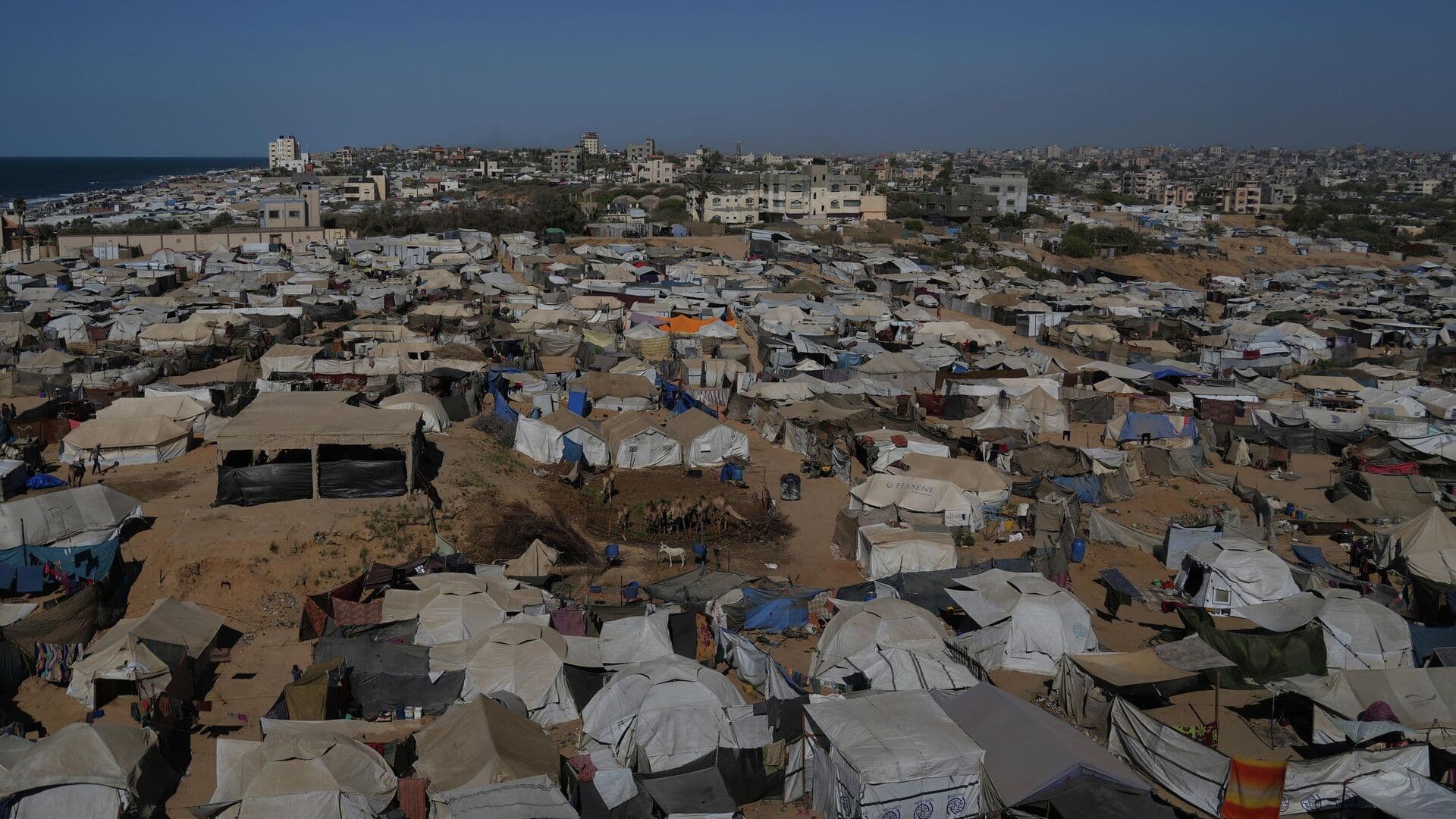 Власти сектора Газа начали изымать огнестрельное оружие у населения