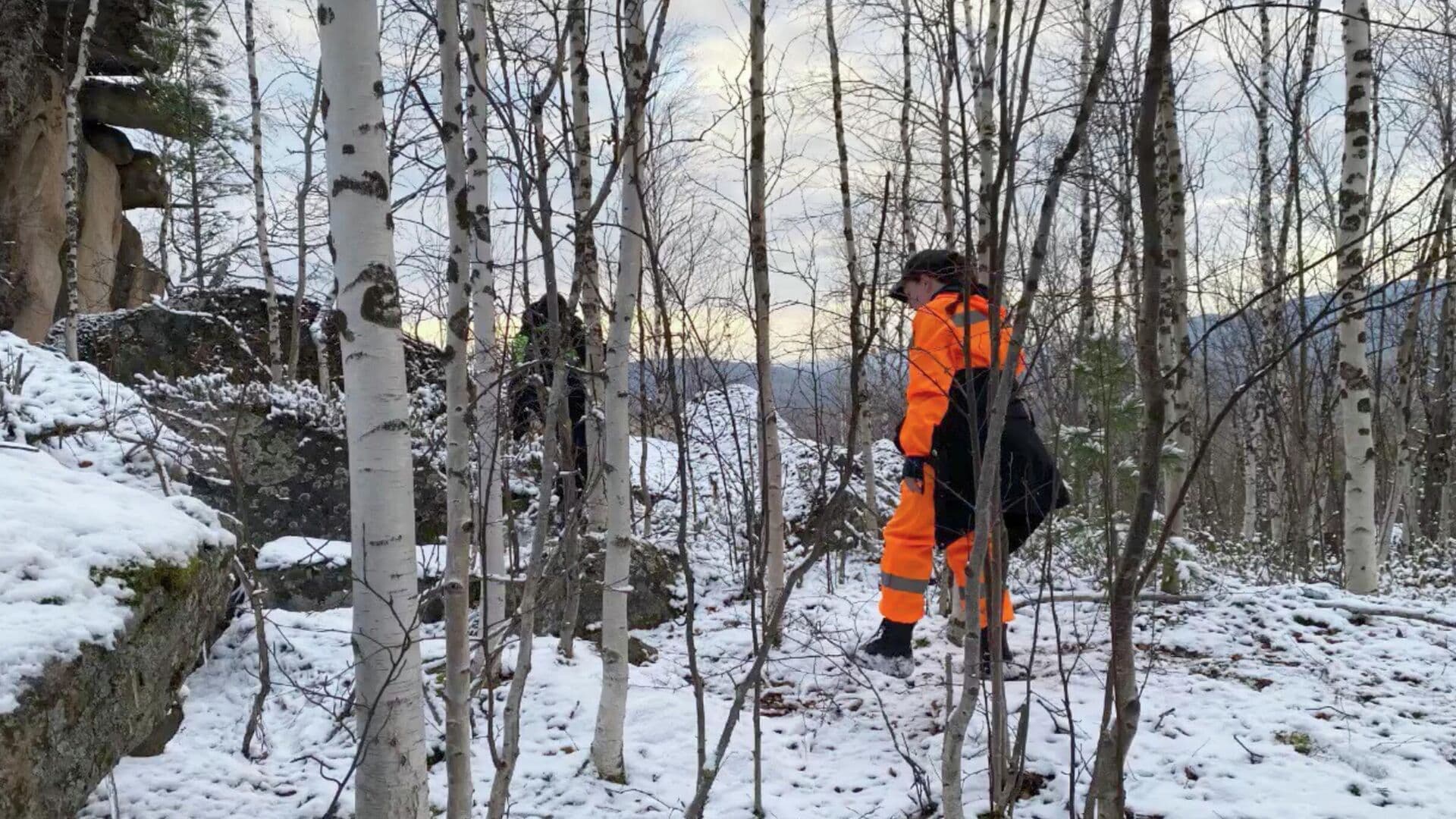 Поисковики рассказали, можно ли найти следы семьи Усольцевых