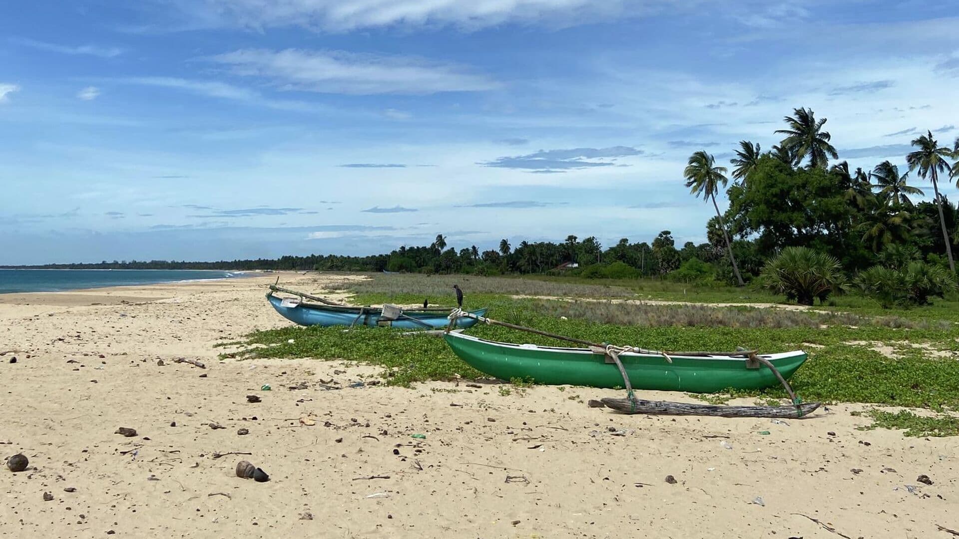 Туроператоры опровергли сообщения о топливном кризисе на Шри-Ланке