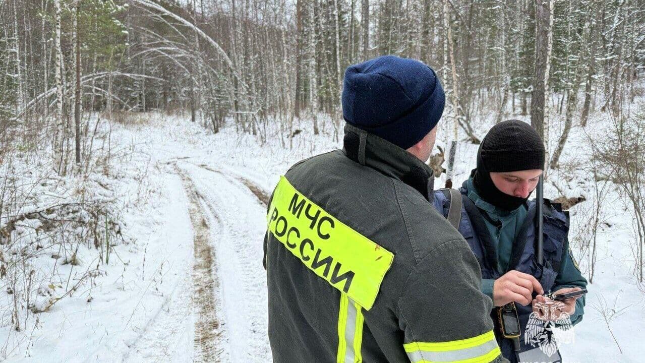 Сын Усольцевой считает, что семья может быть жива