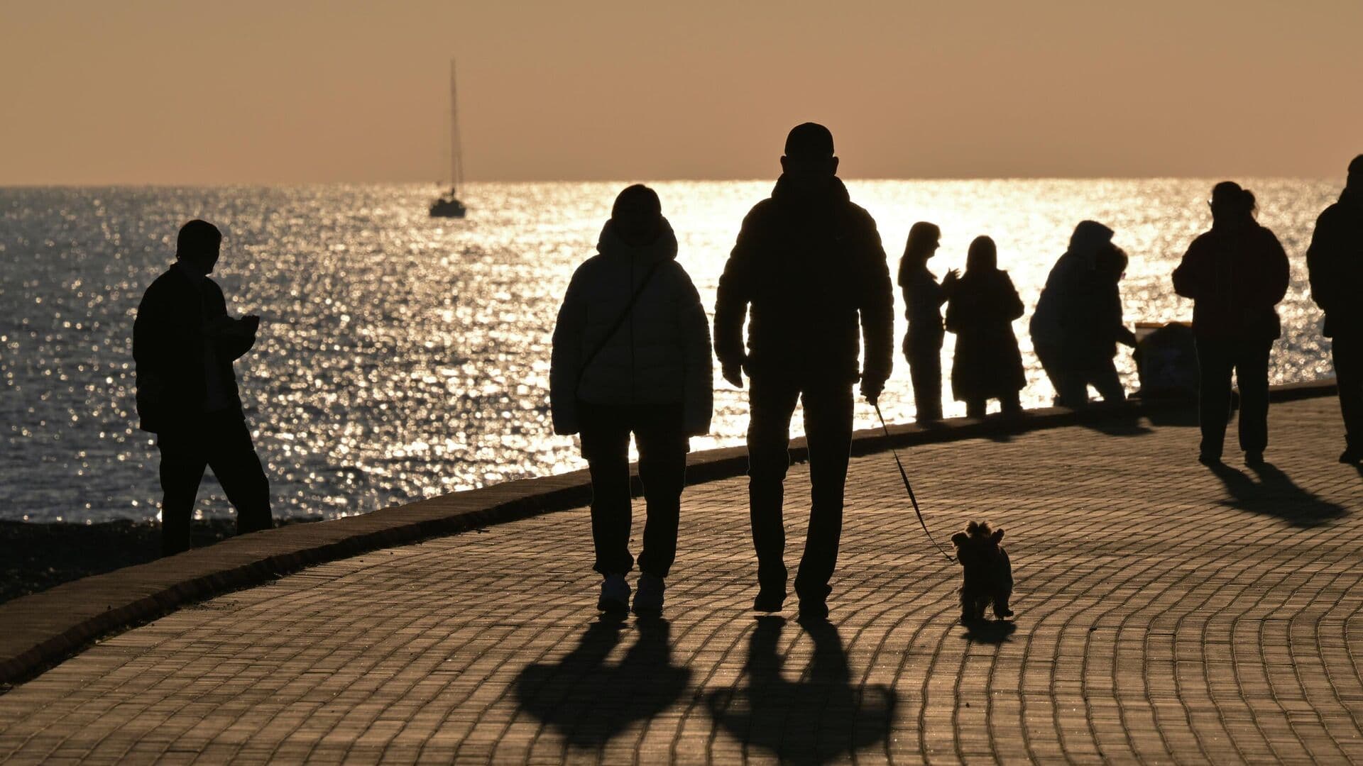 В Сириусе рассказали о последствиях землетрясения в Сочи