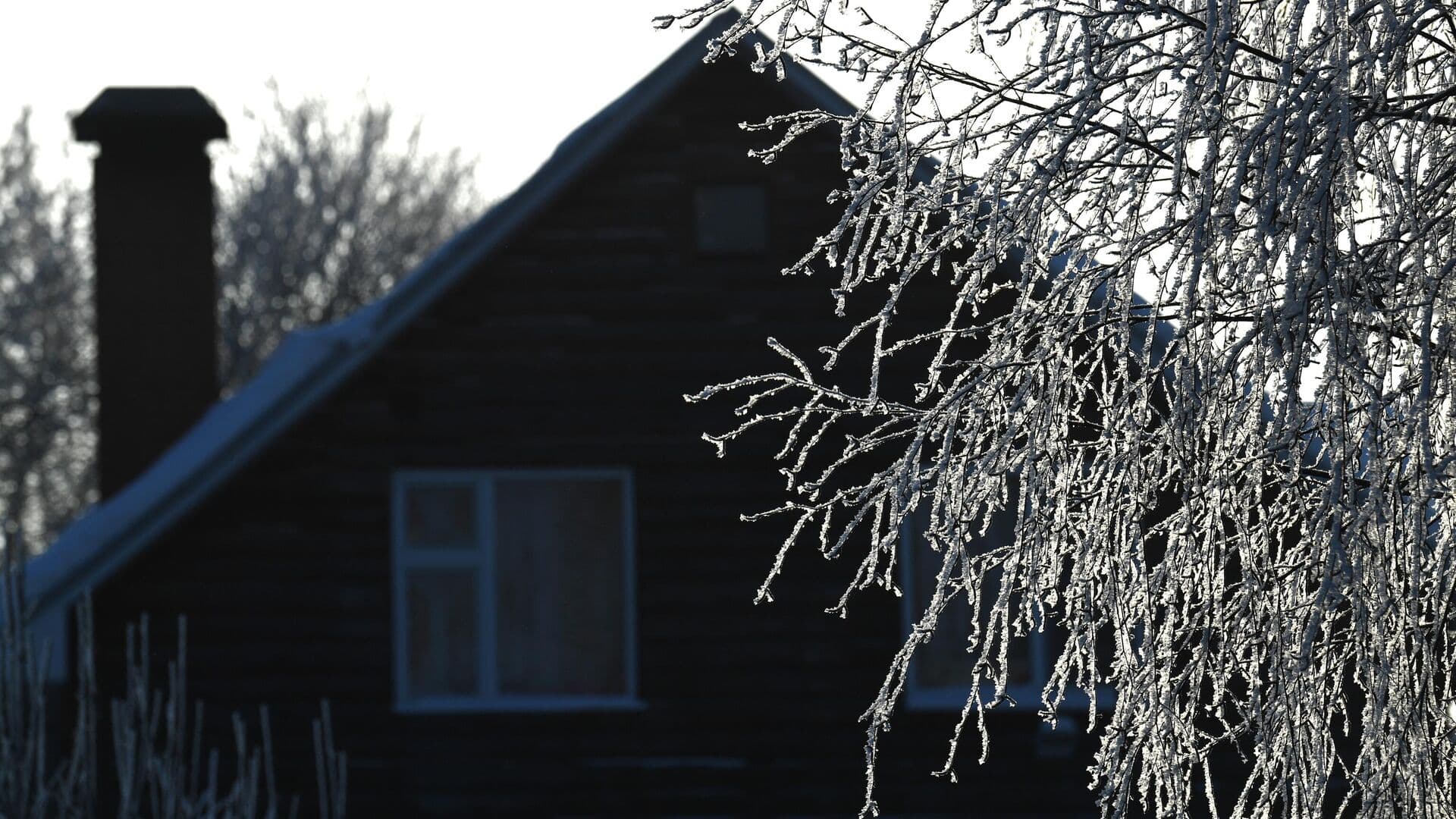 В Госдуме рассказали о новых обязанностях собственников участков