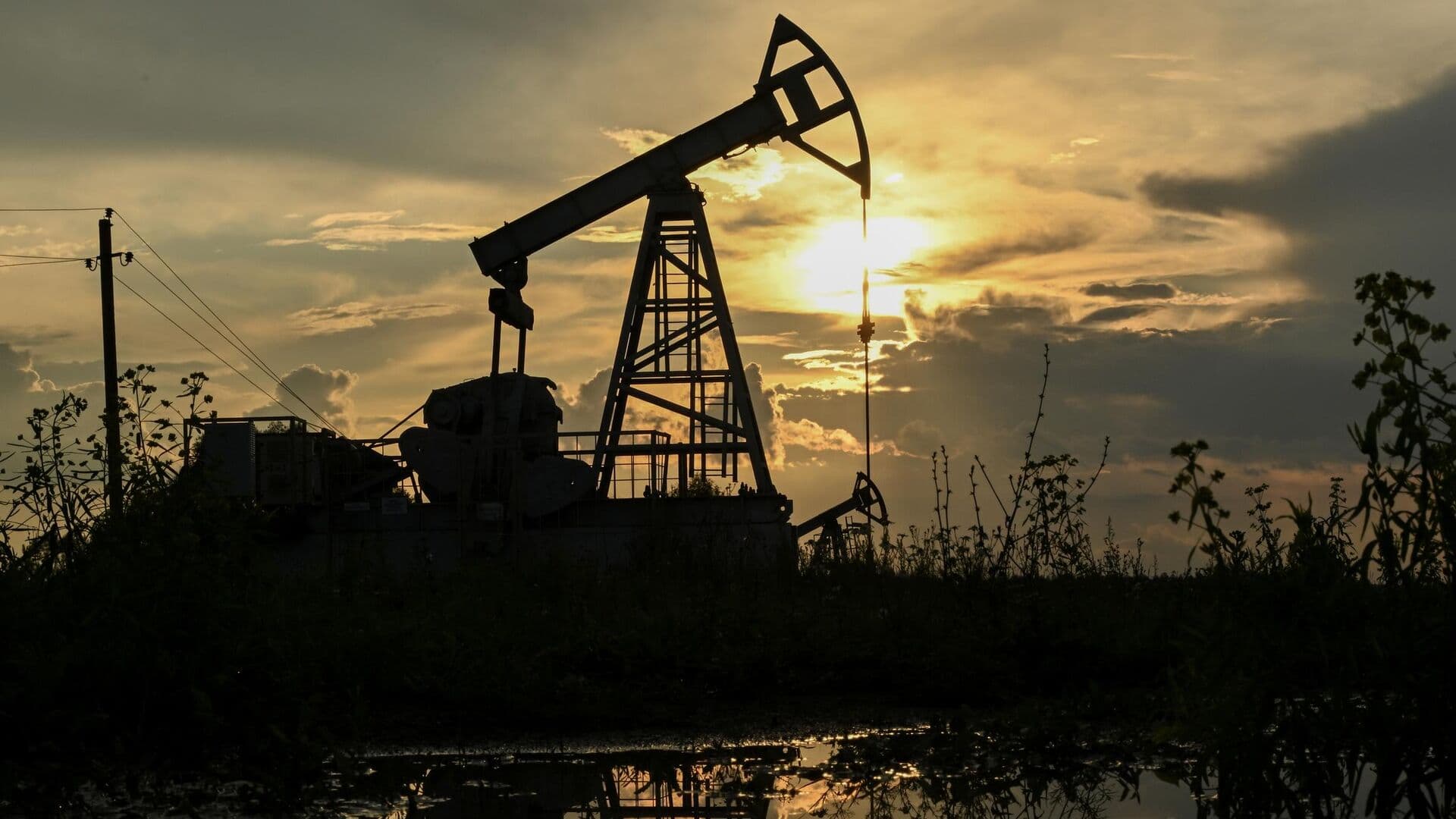 Словацкие экспортеры оценили ситуацию с поставками нефти по "Дружбе"