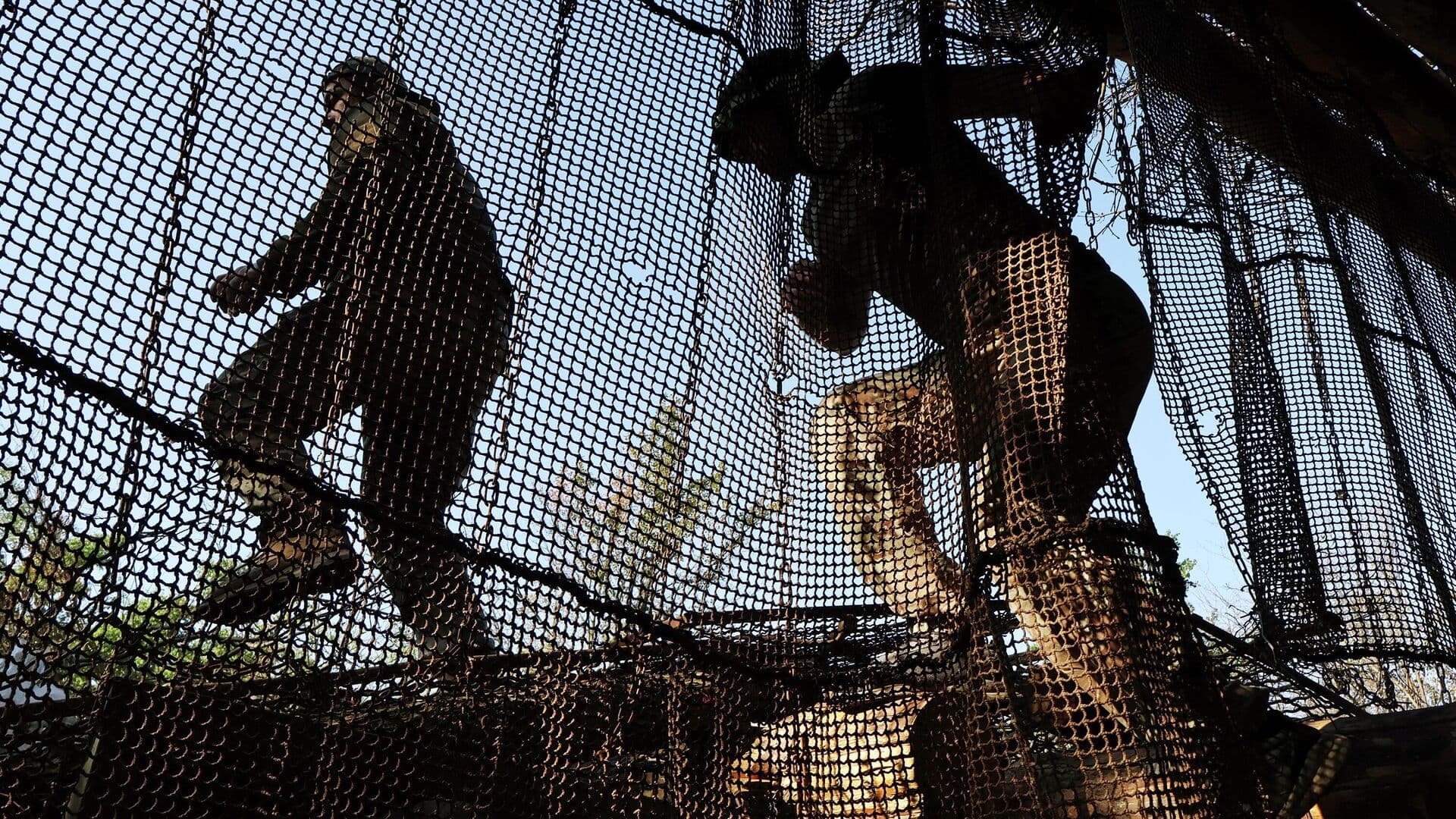 Украинцы начали сопротивляться мобилизации, заявили в МИД России