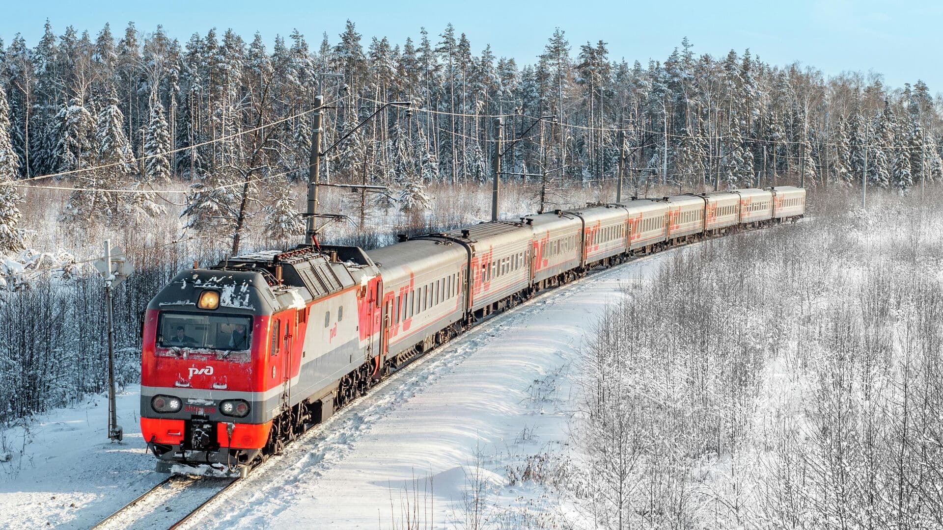 Россиянам рассказали о правилах проезда в турпоезде при ошибке в билете