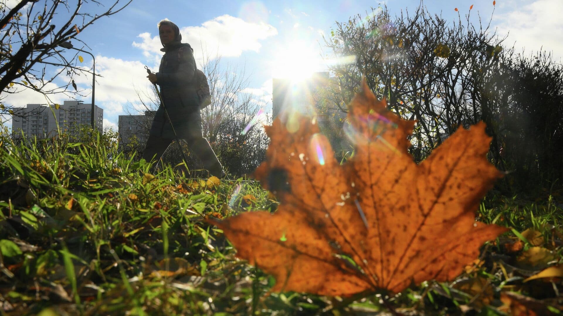 В оценку эффективности губернаторов предложили включить показатели ЗОЖ