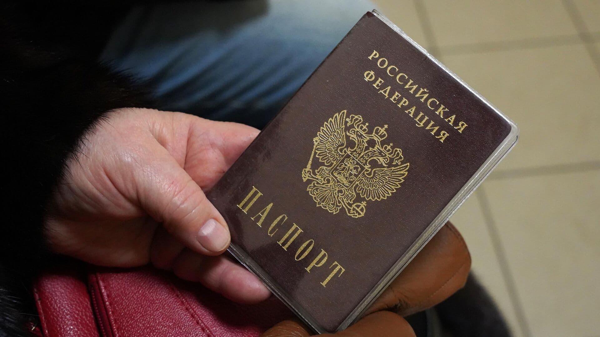 СК предложил лишать приобретенного гражданства за тяжкое преступление